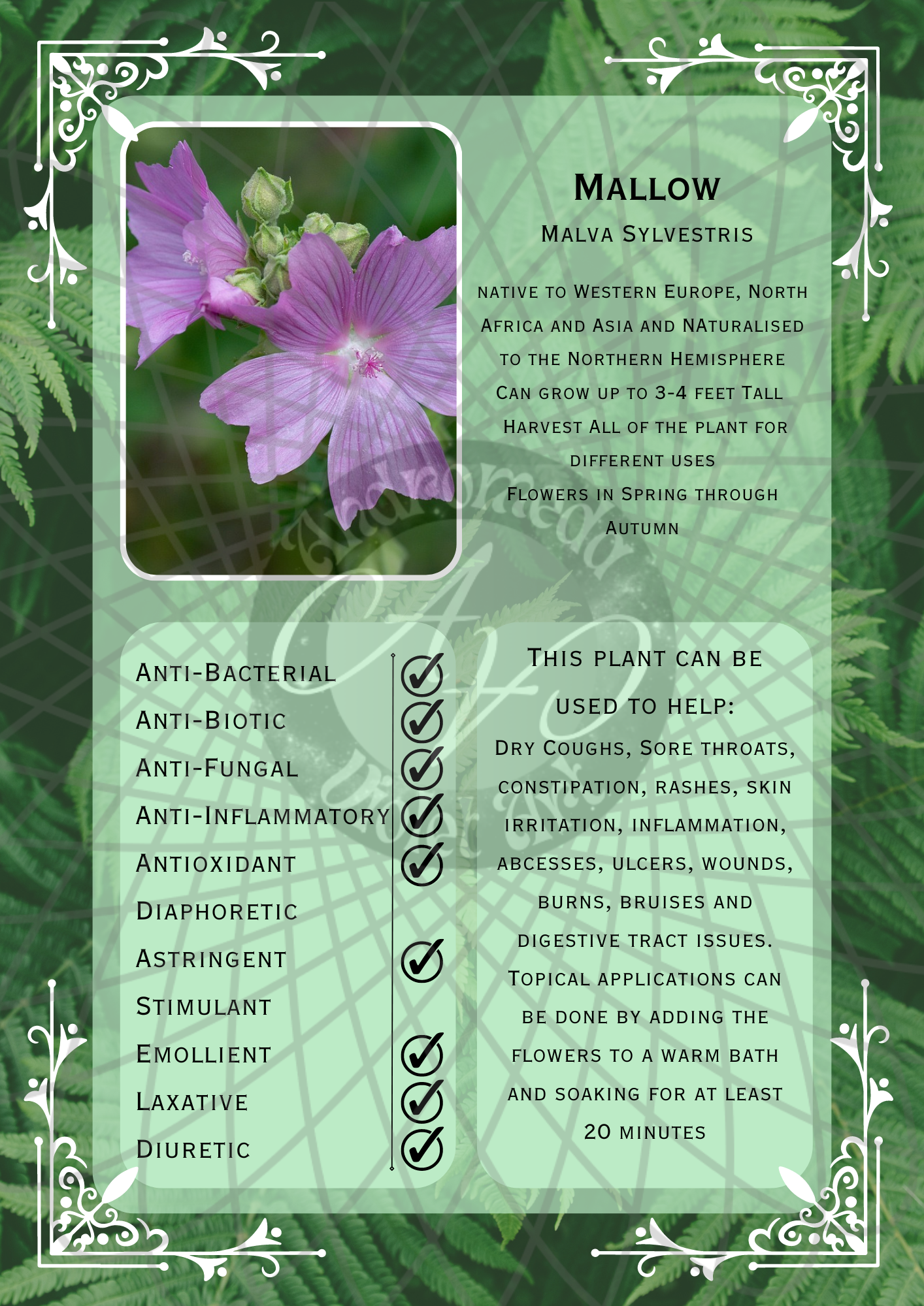 Mallow Light -WM.png