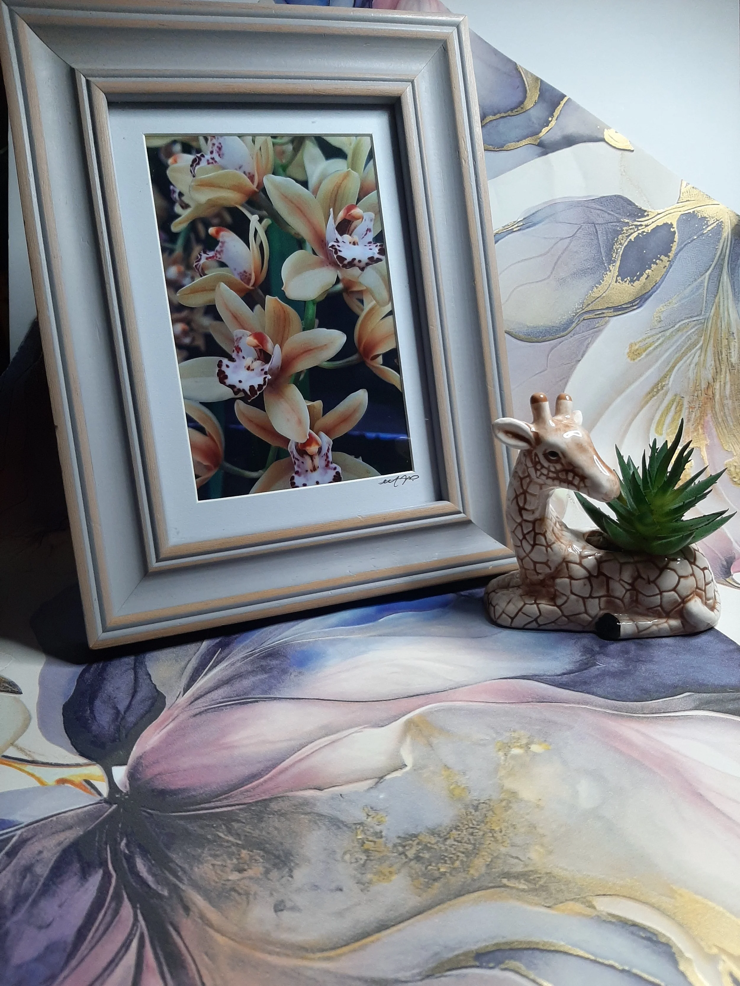 Yellow Moth Orchid Floral Botanical Photography
