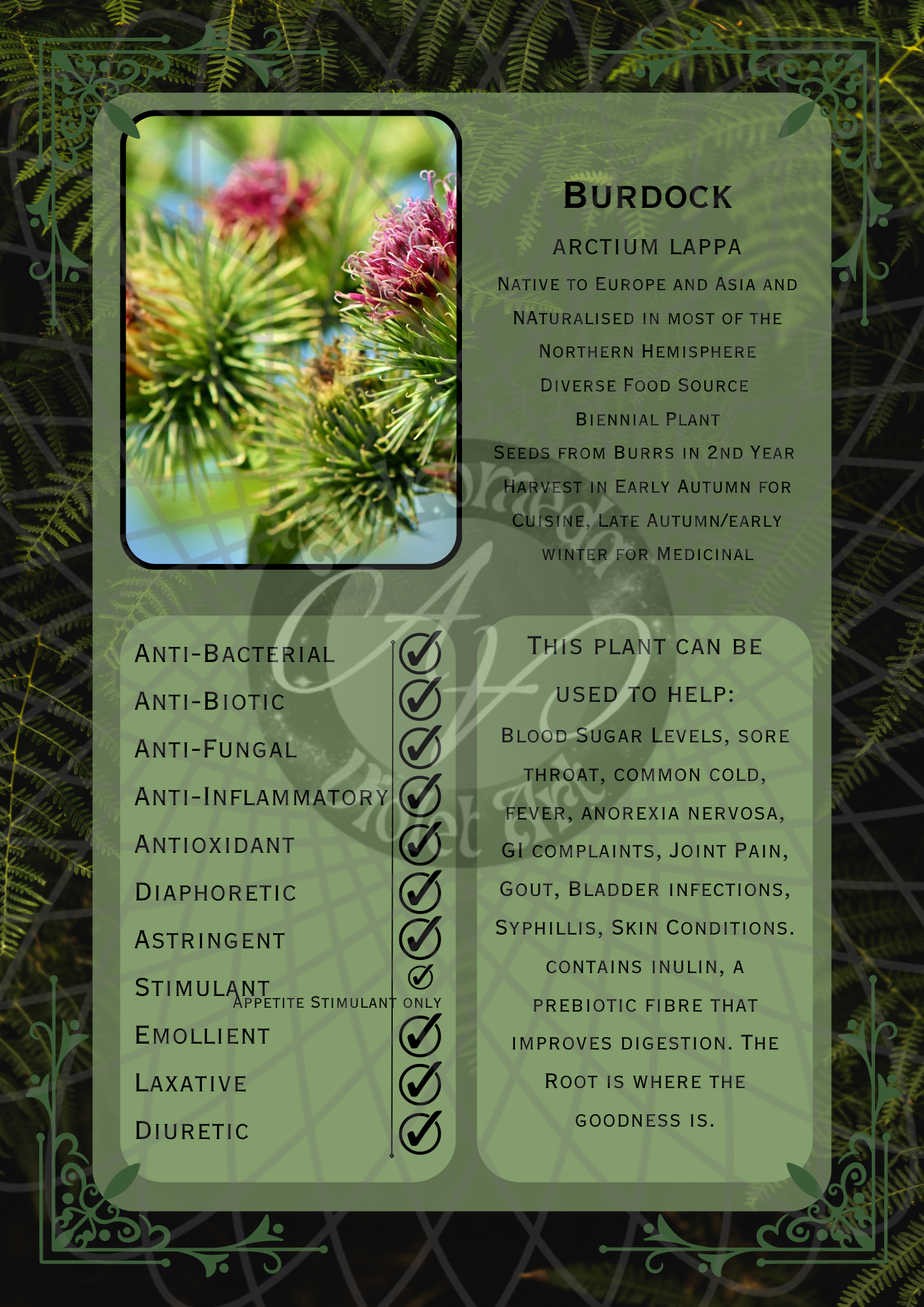 Burdock Dark -WM.png