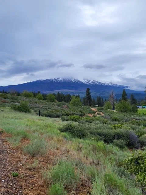 Mountain with snow caps under cloudy sky, green fields and trees in foreground.