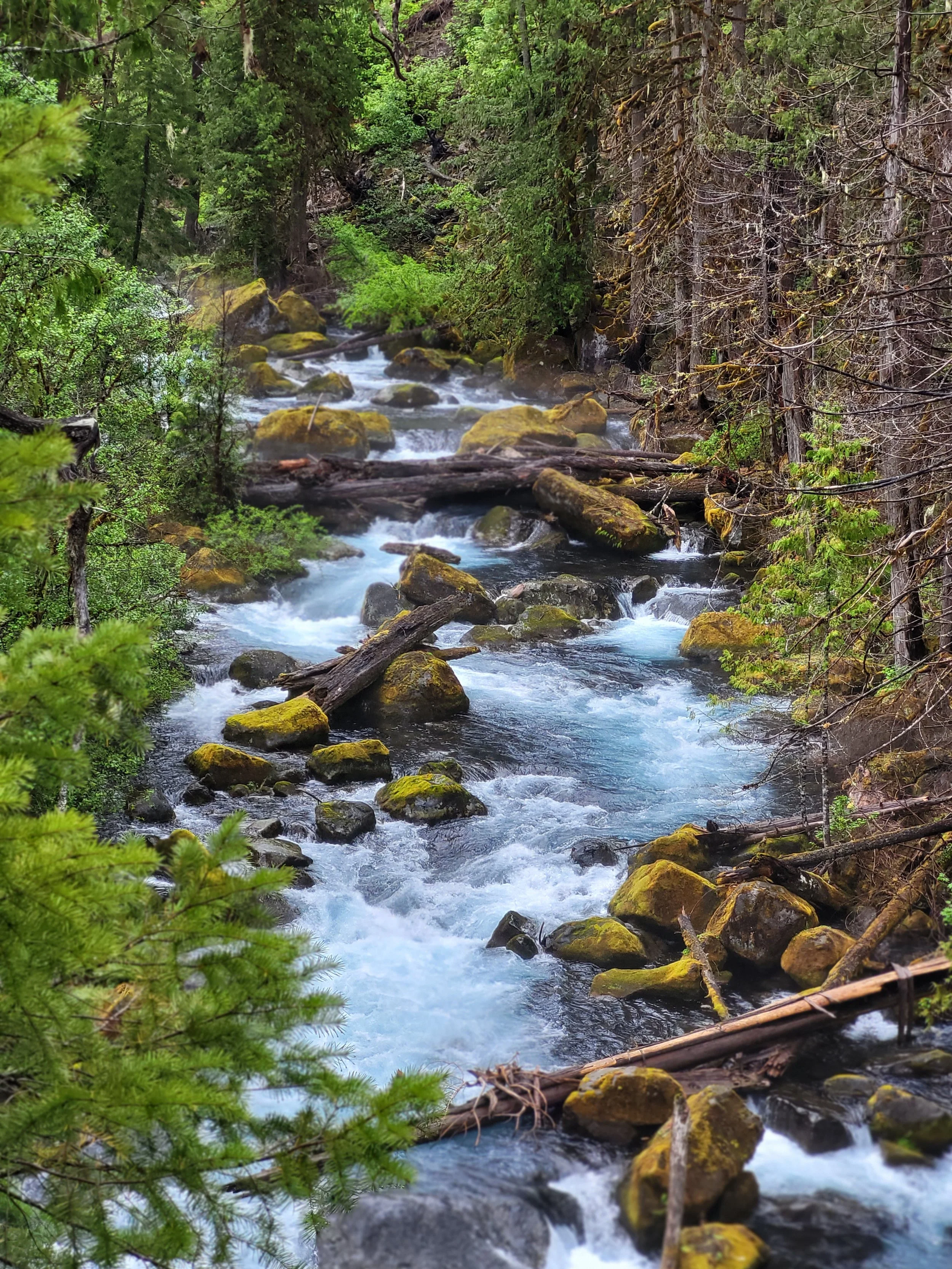 20220605_091632.jpg