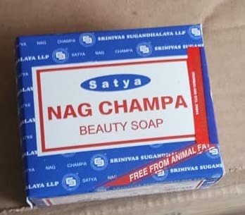 41nhsGBfu6L.jpg