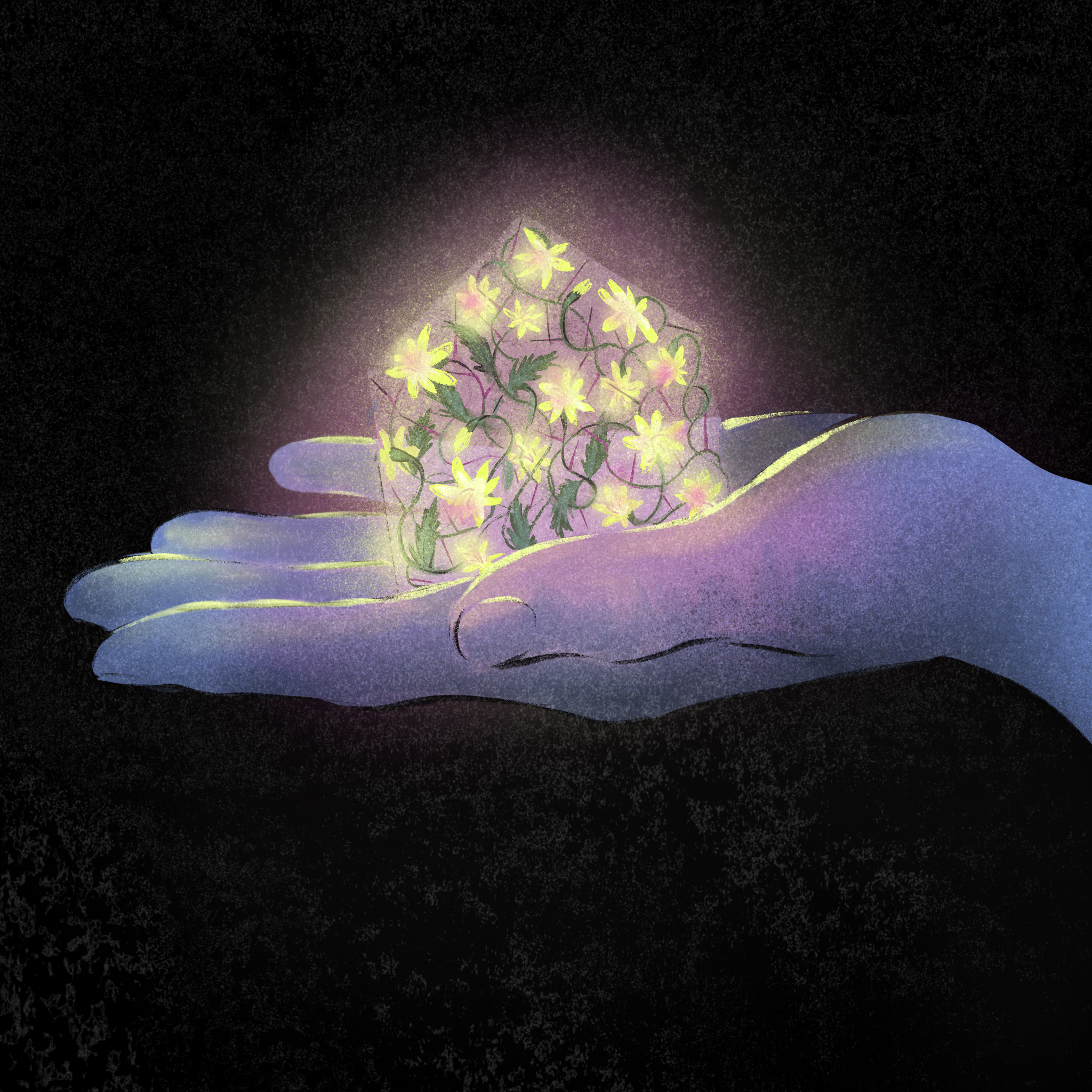 Untitled_Artwork 5.png