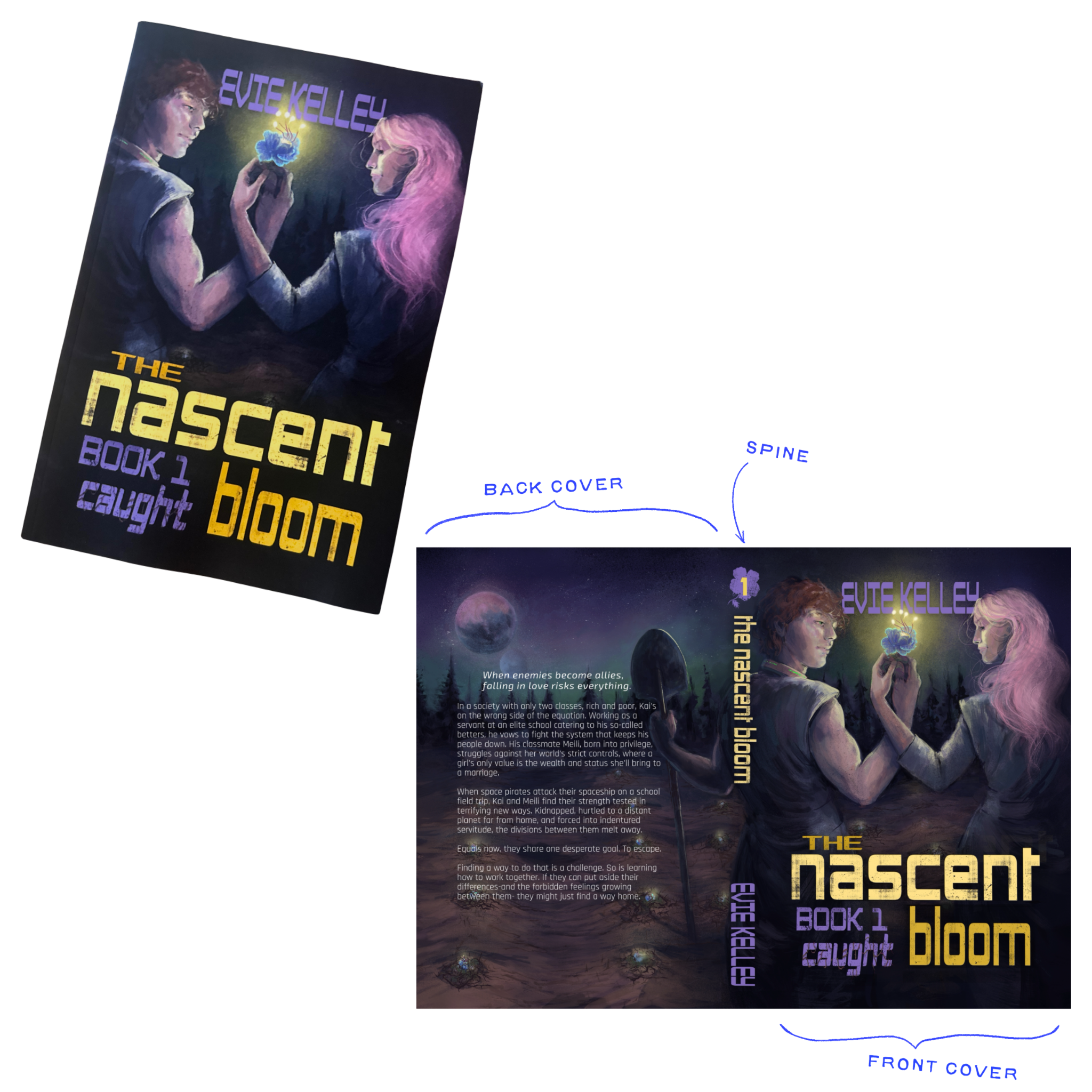 Book cover for author Evie Kelley