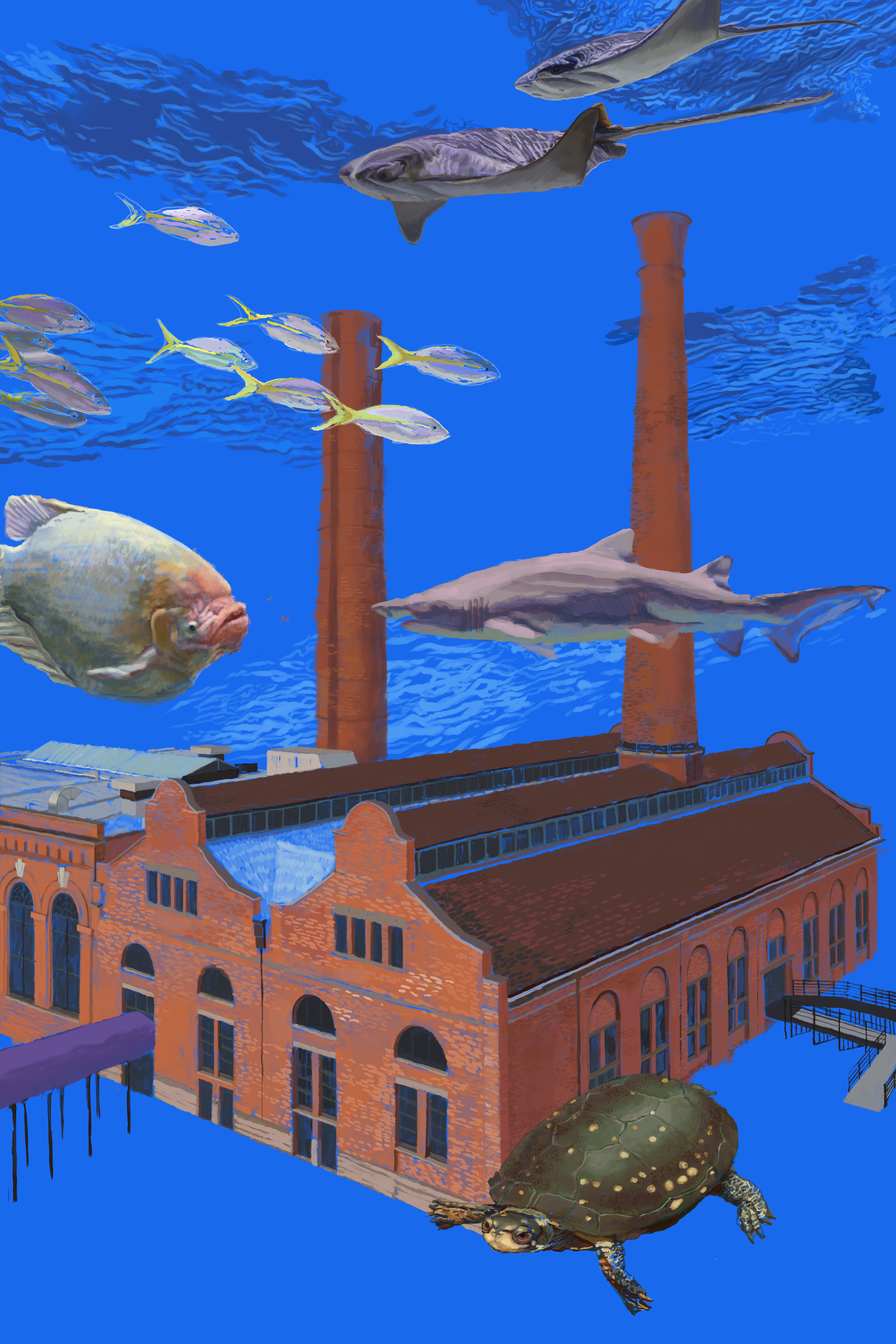 cle_aquarium.png