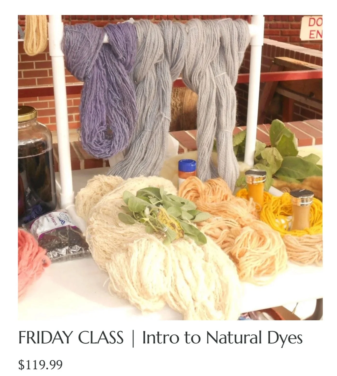 Scenic Stitches Fiber Festival Class Spotlight: Introduction to Natural Dyes

Mother Nature is gracious enough to lay a color palette right outside our windows. We will explore some of what she has to offer, giving you the courage to go out and sampl