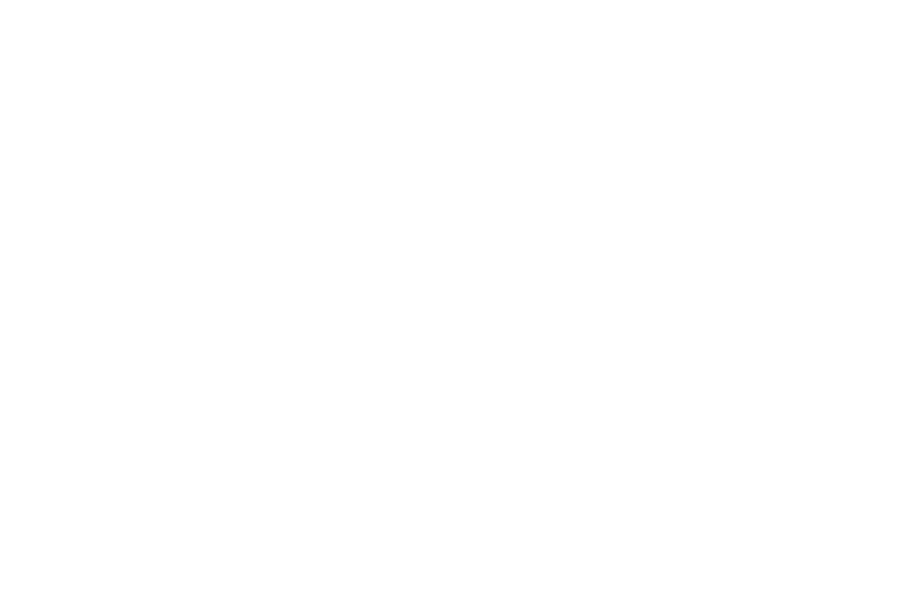 MS Schippers SPINNOV Client