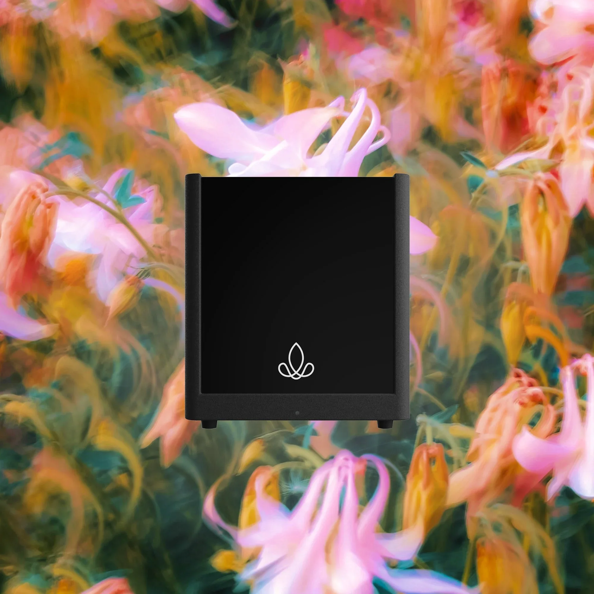 Product Hero Pro.webp