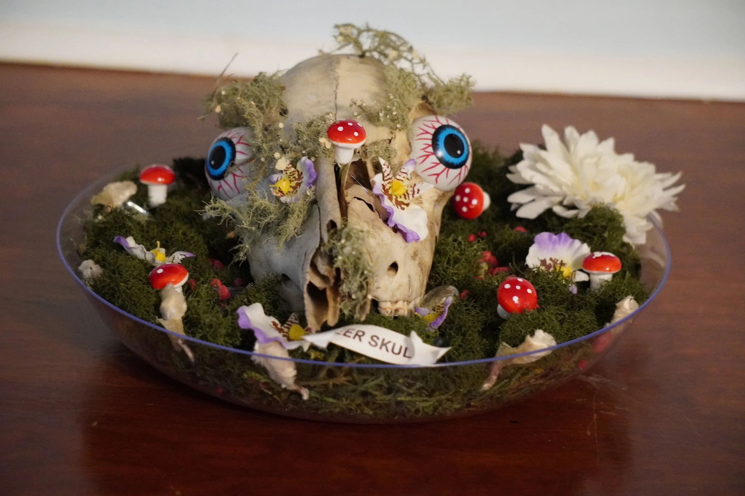 A decorative skull display with animated eyes, surrounded by small red and white mushroom figures, purple and white flower petals, moss, and a white daisy flower on a wooden surface.