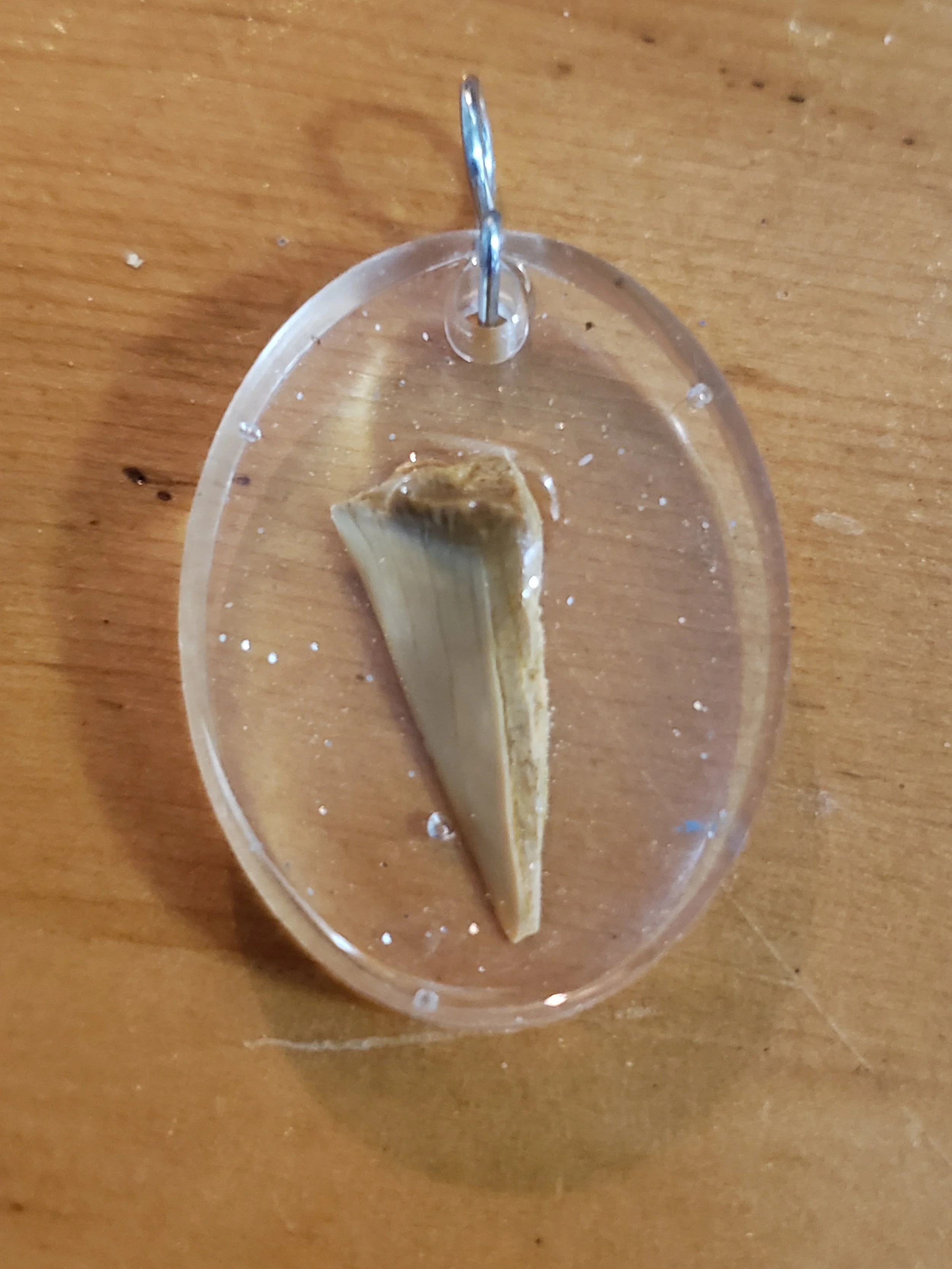 Shark Tooth Resin Pendant