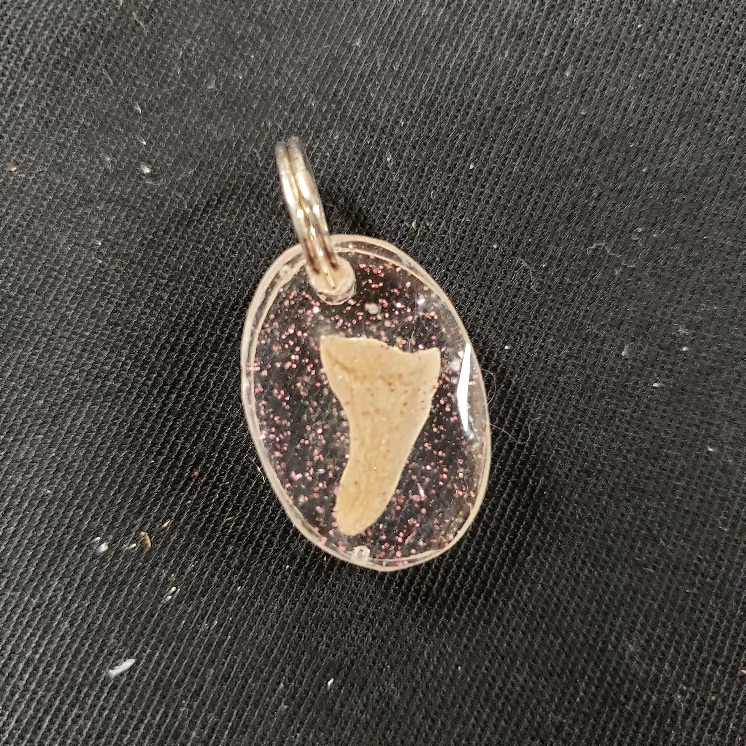 Shark Tooth Pendant