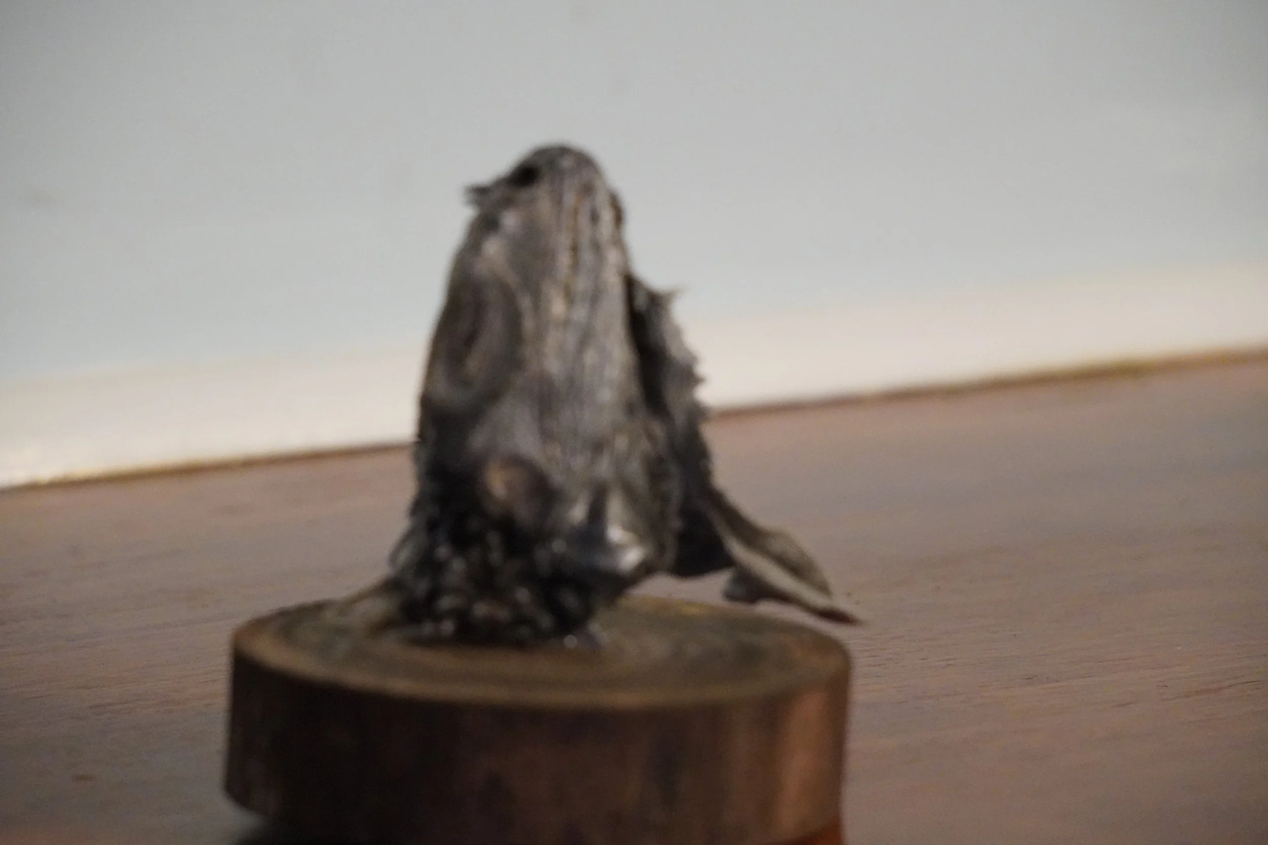 A small iguana head mounted on a wooden base.