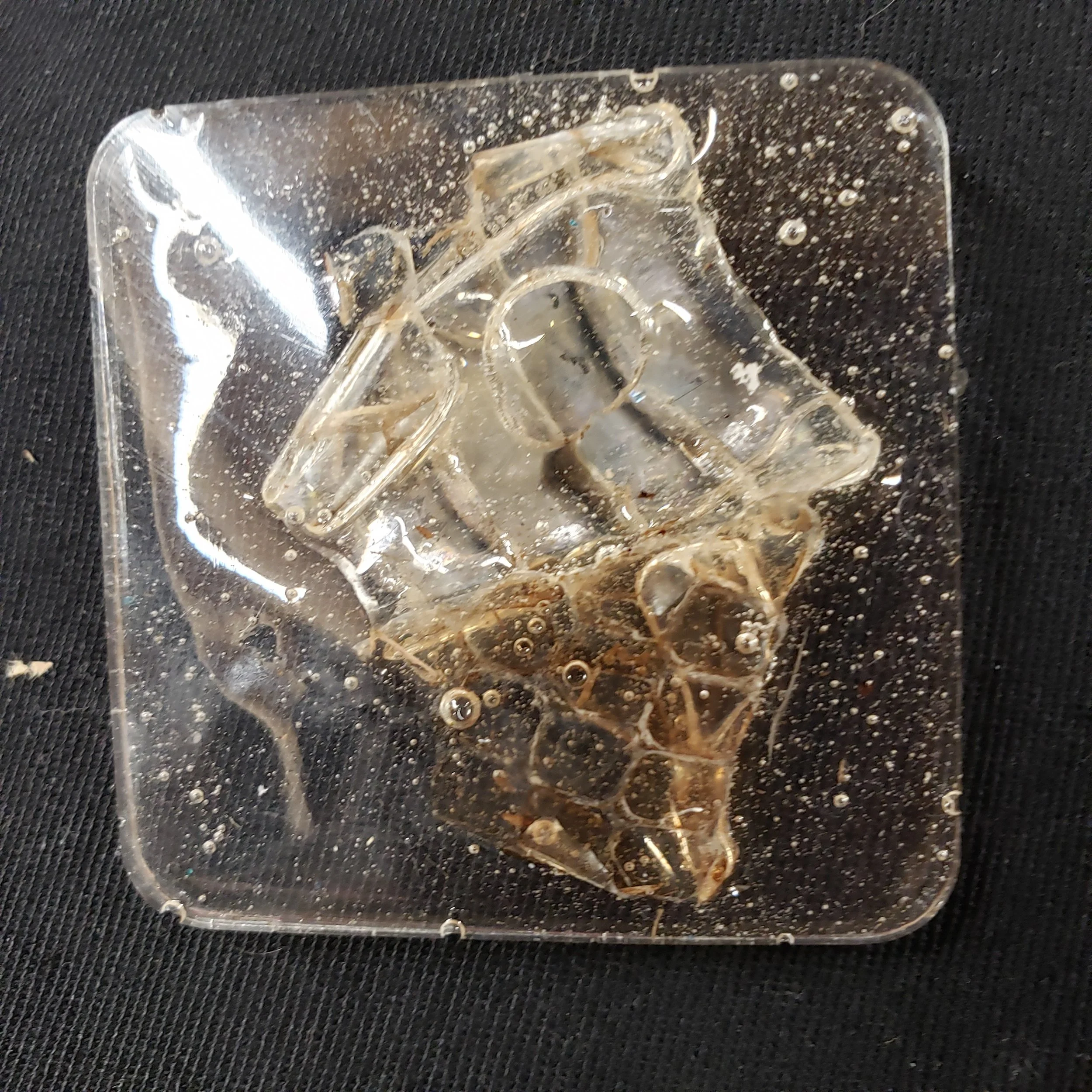 Snakeskin in Clear Resin Charm