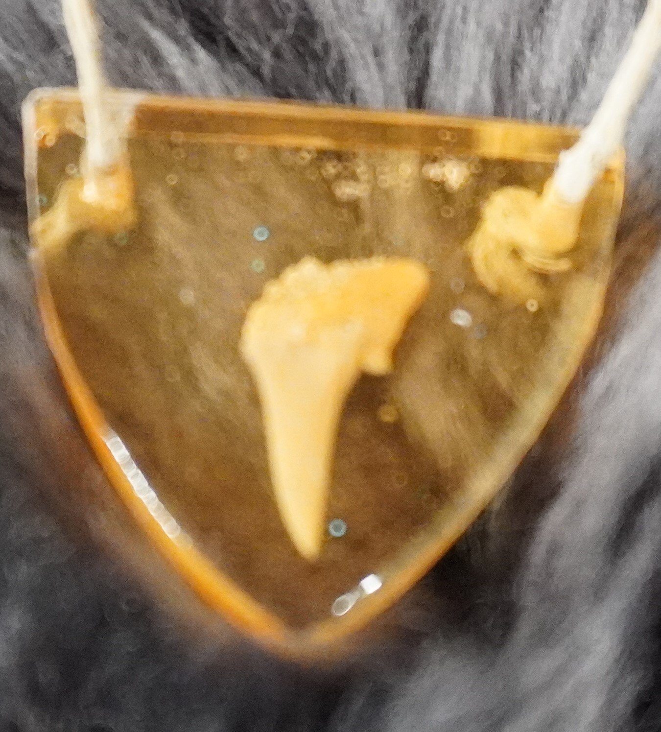 Fossil Shark Tooth Pendant