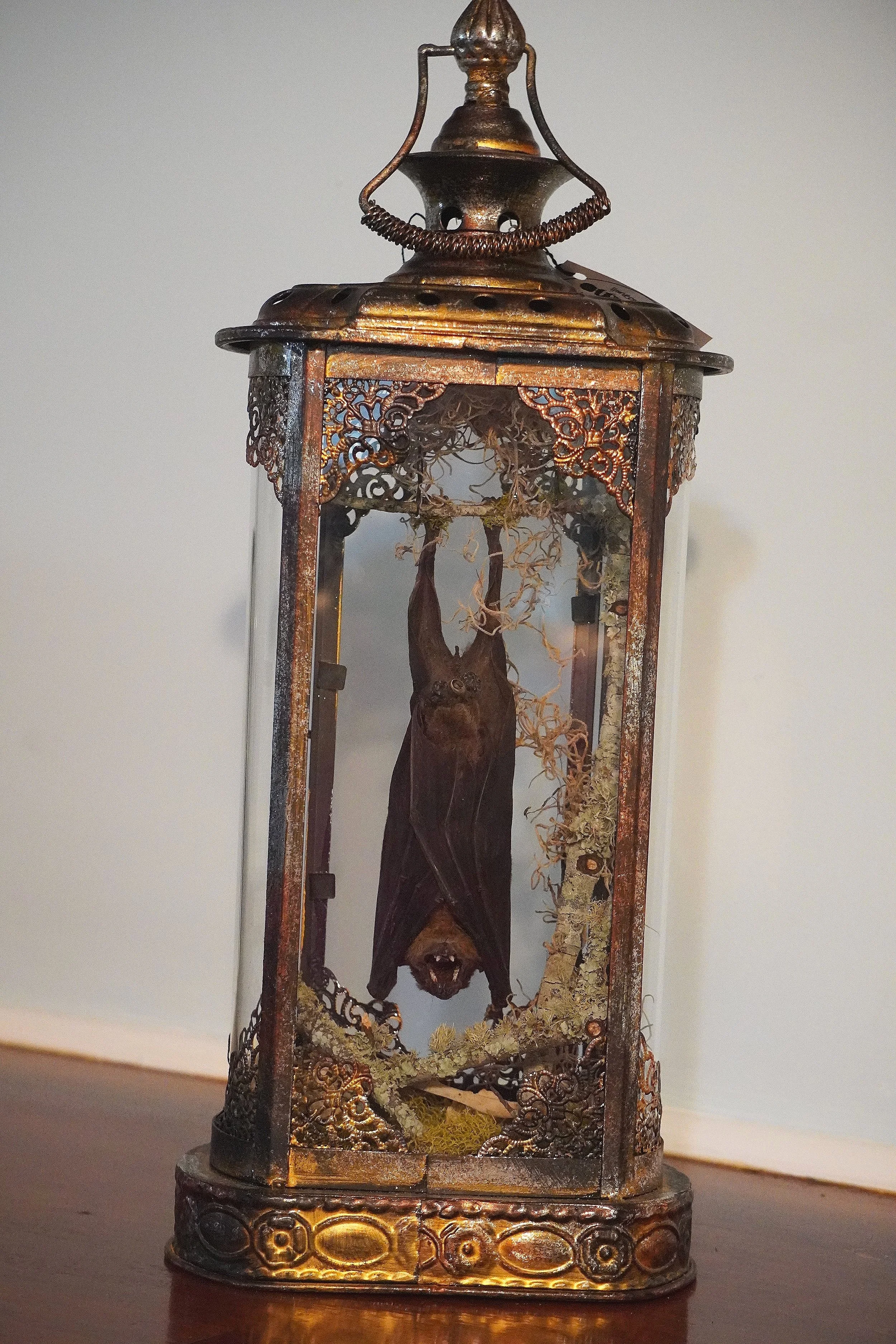 A bat preserved in an ornate glass case with metallic decorations.