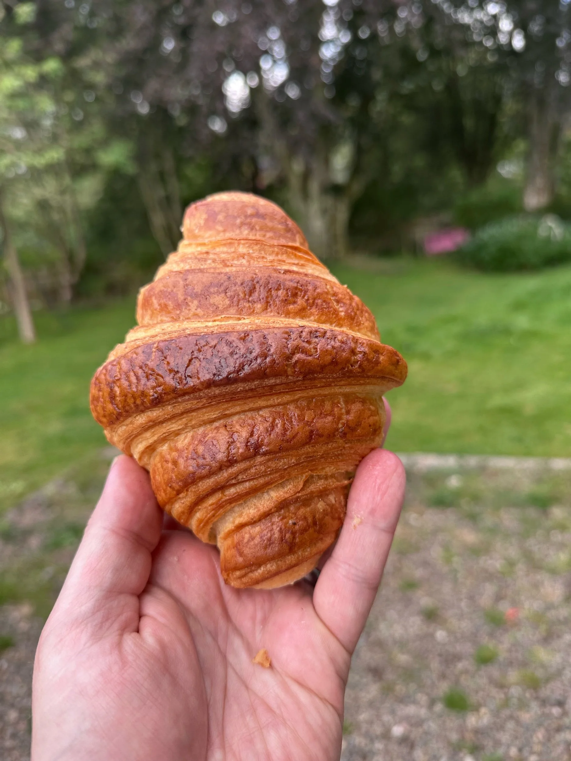 Croissant