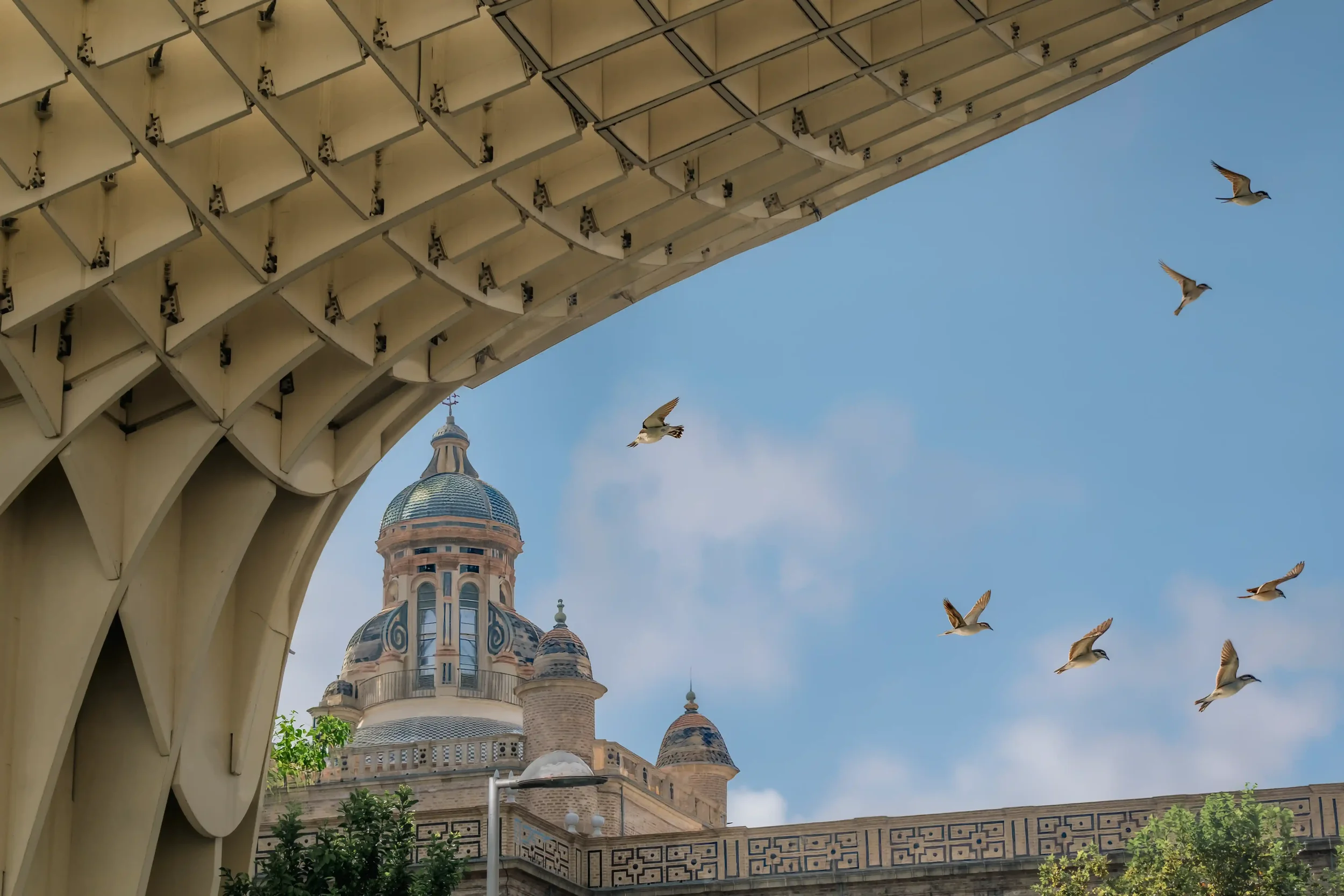 sevilla15web.webp
