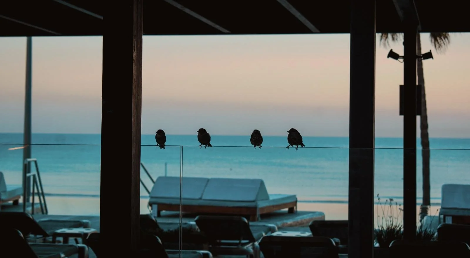image00025.jpeg