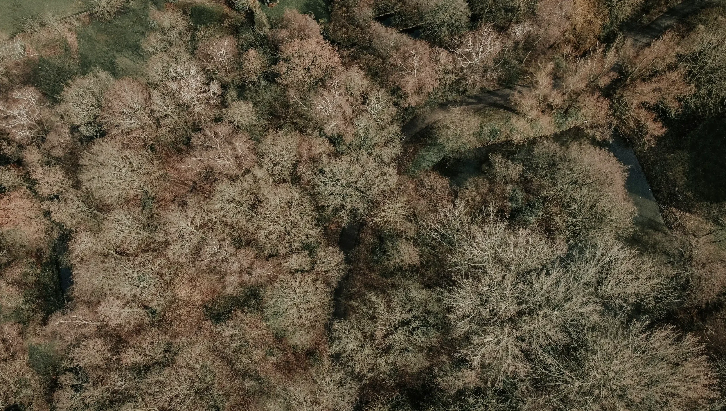 Blokkerdrone2 copy.webp