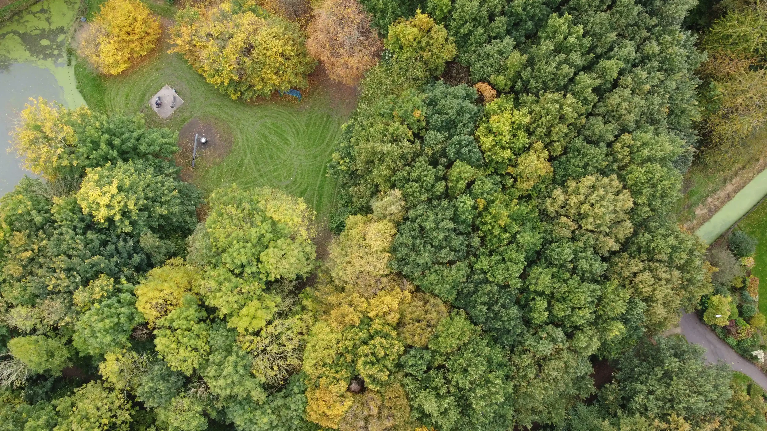 DJI_0118 copy.webp