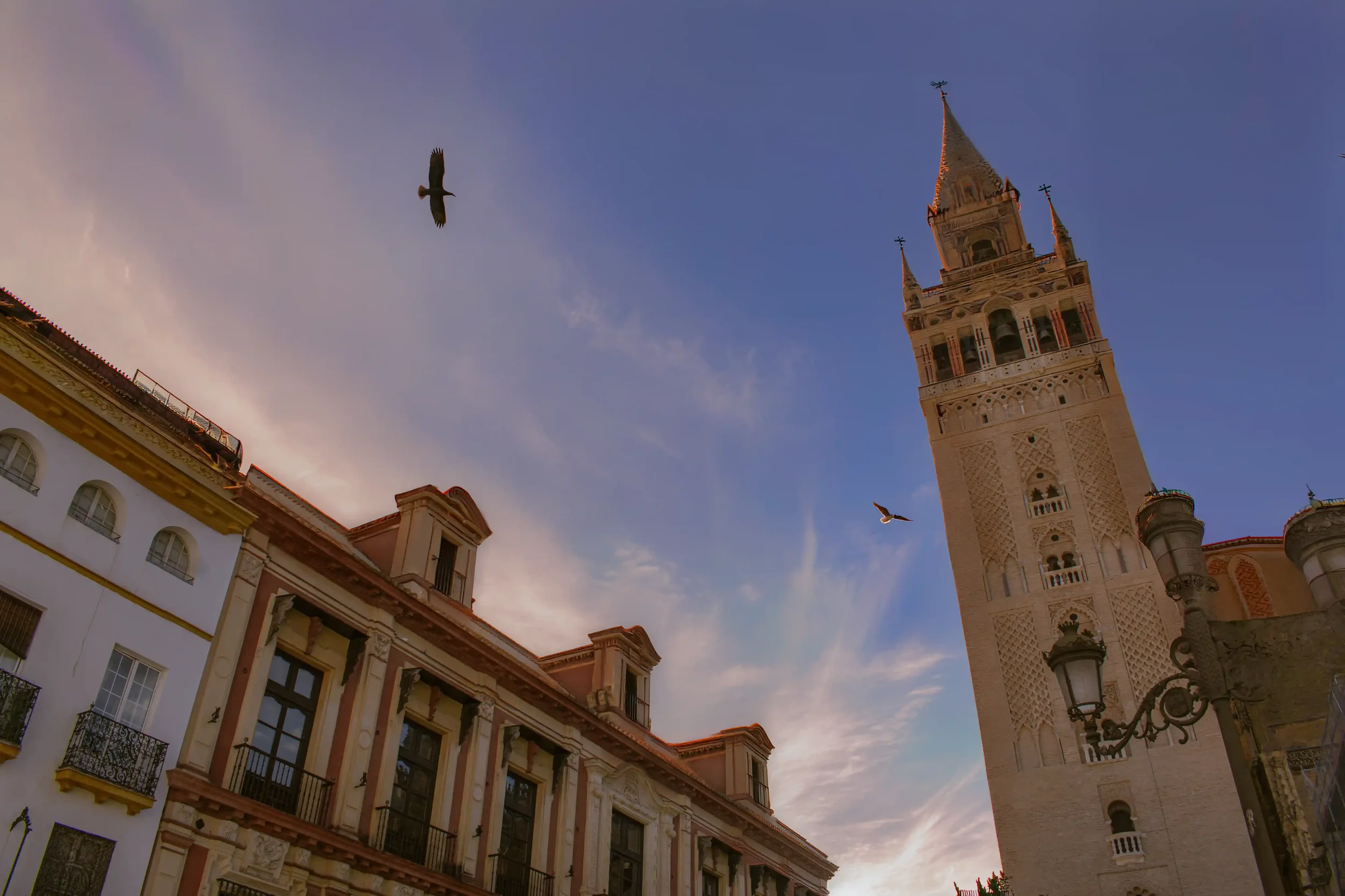 SEVILLa8web.webp