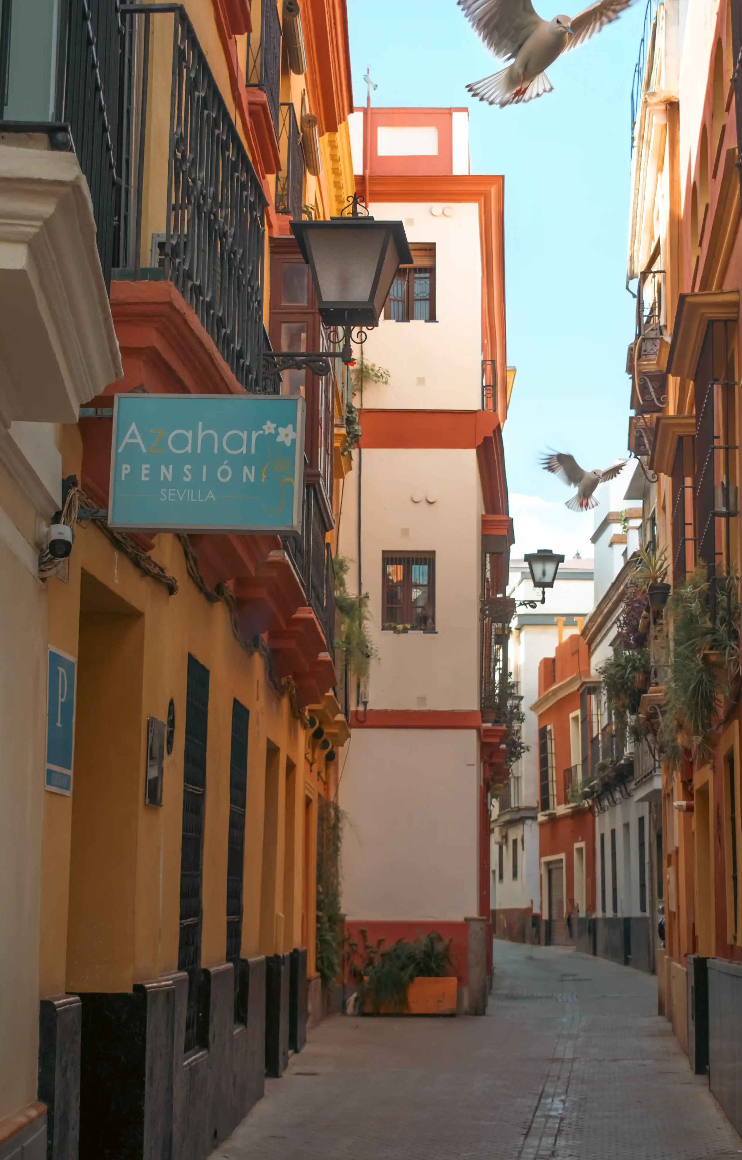 SEVILLA4WEB.webp