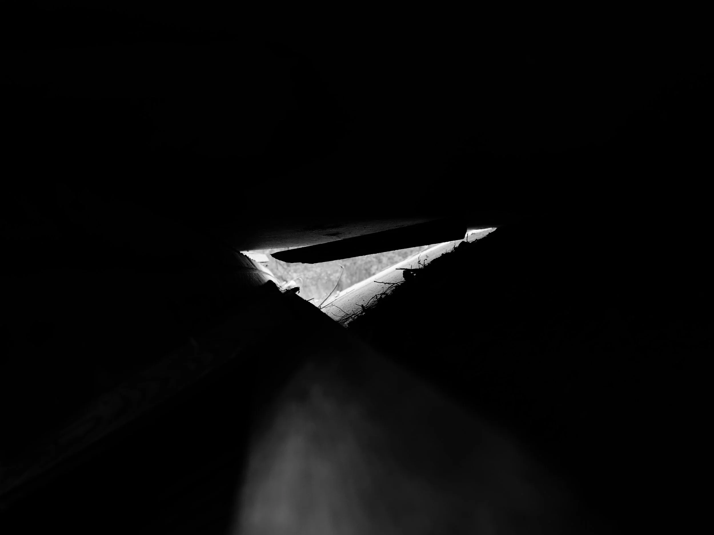 IMG_9911.jpeg