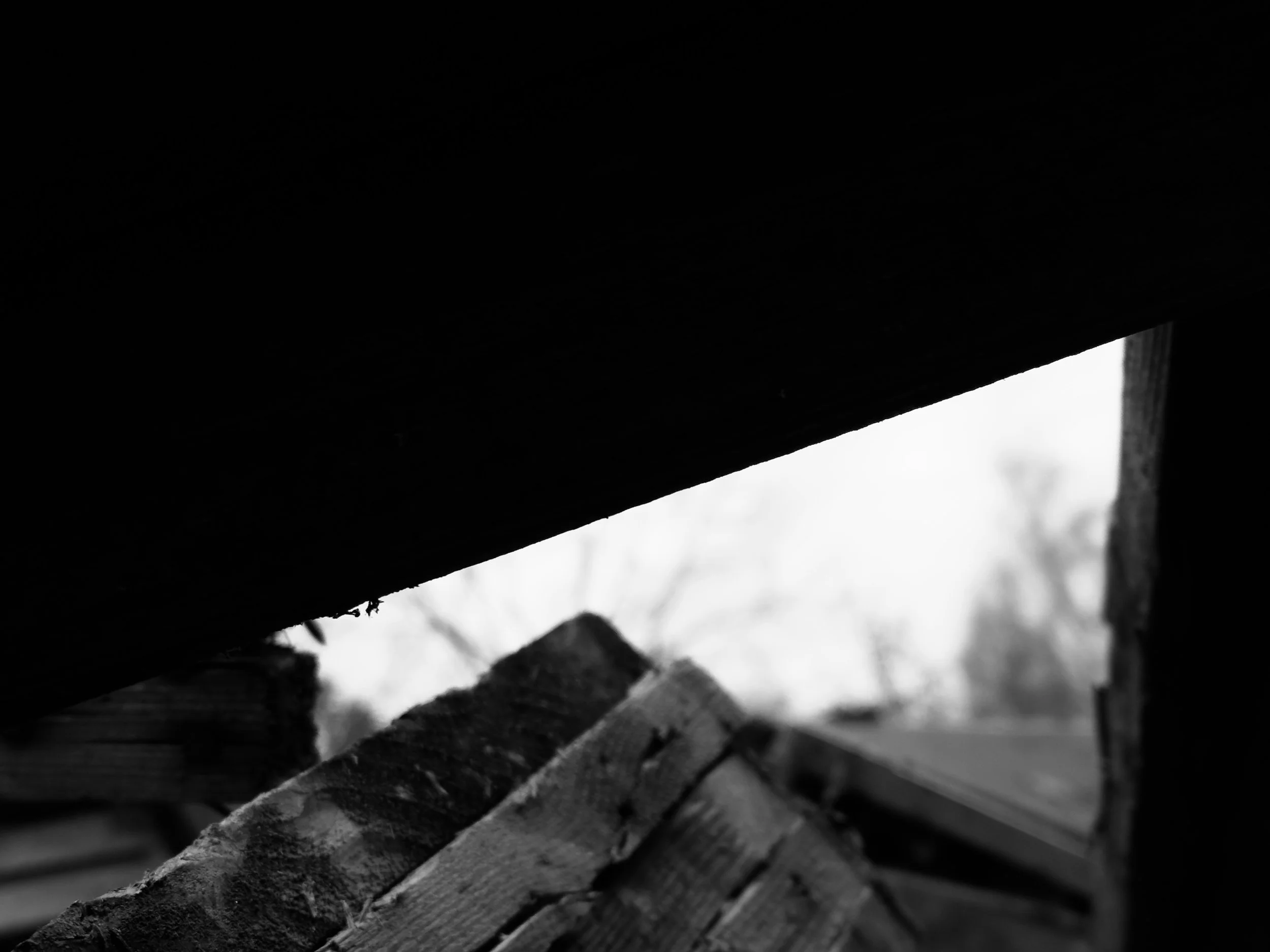 IMG_9923.jpeg