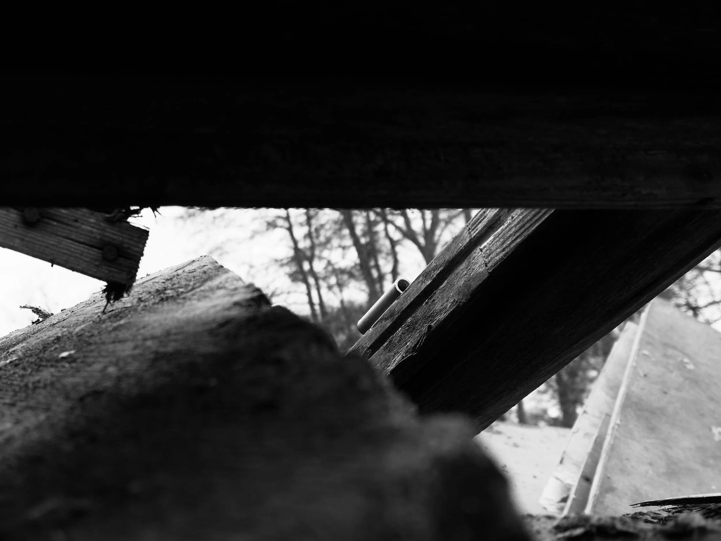 IMG_9924.jpeg