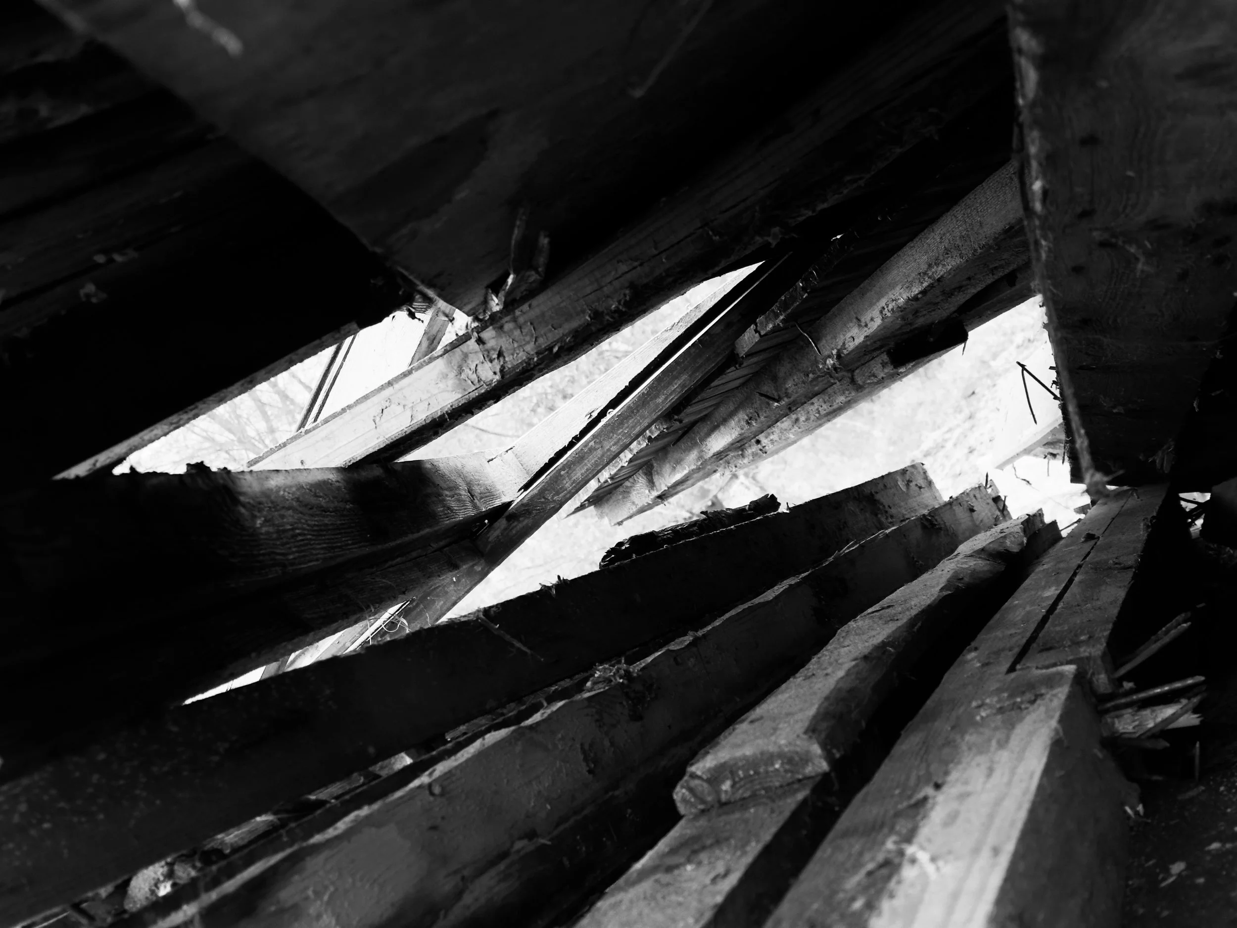IMG_9903.jpeg