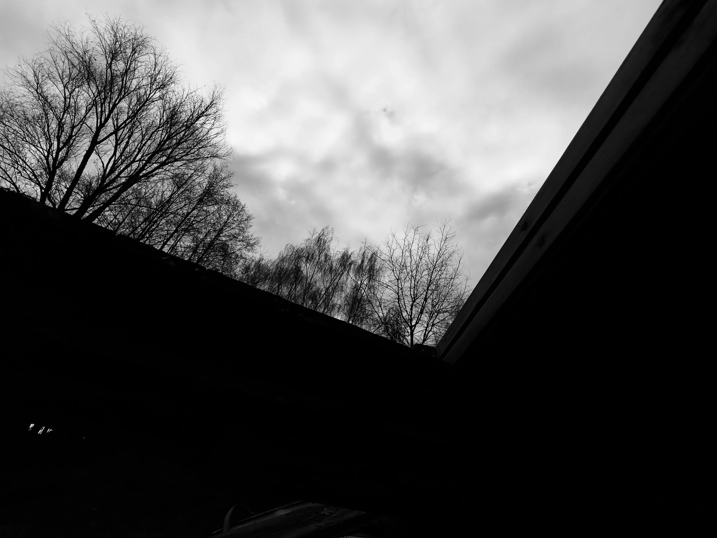 IMG_9926.jpeg