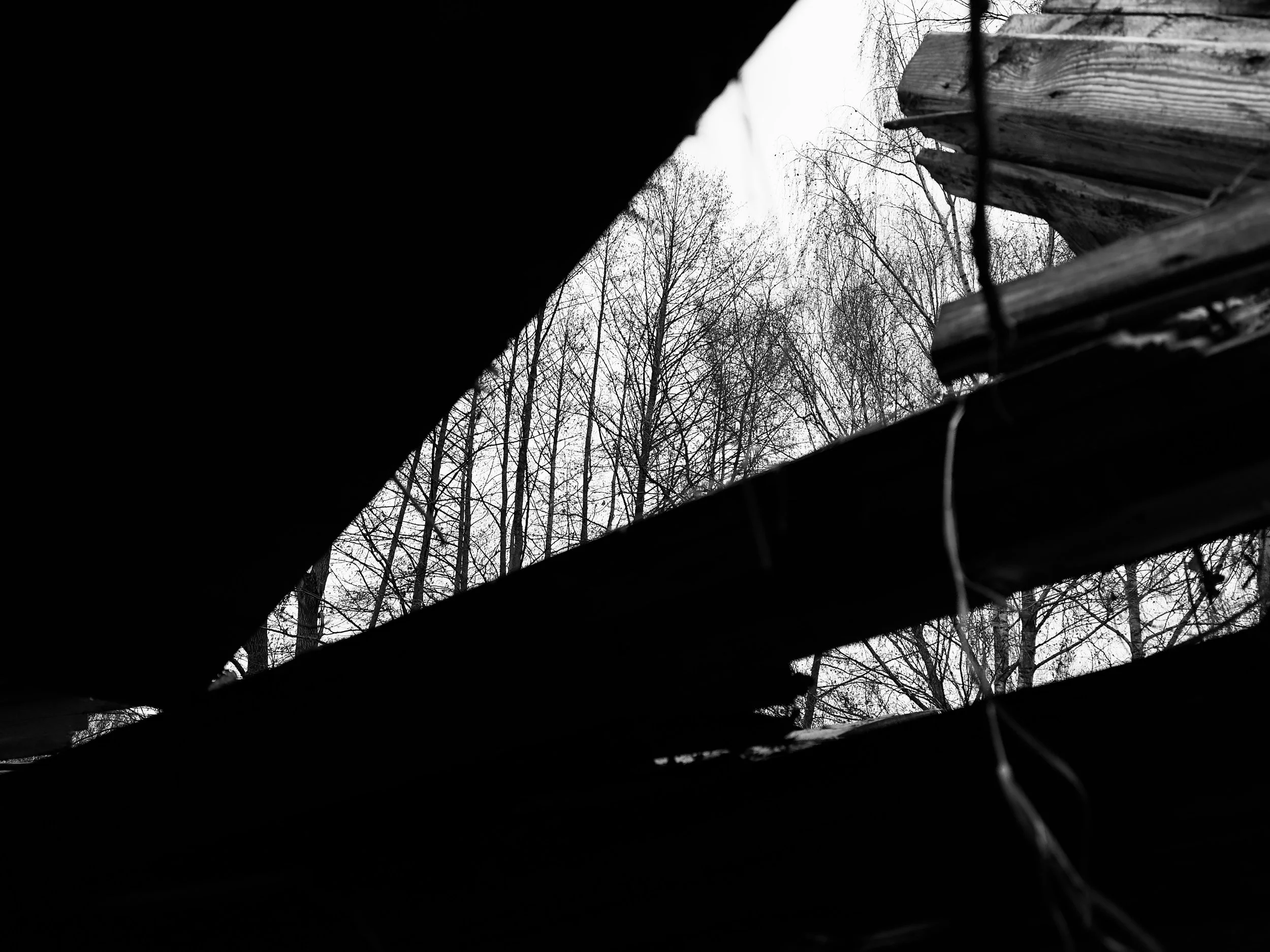 photography