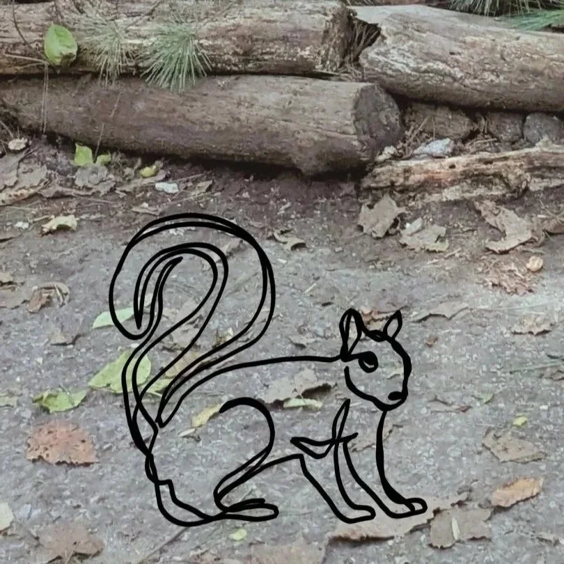 Photo of forest trail with overlay of squirrel drawing in the art style of the Center CIRCL Logo