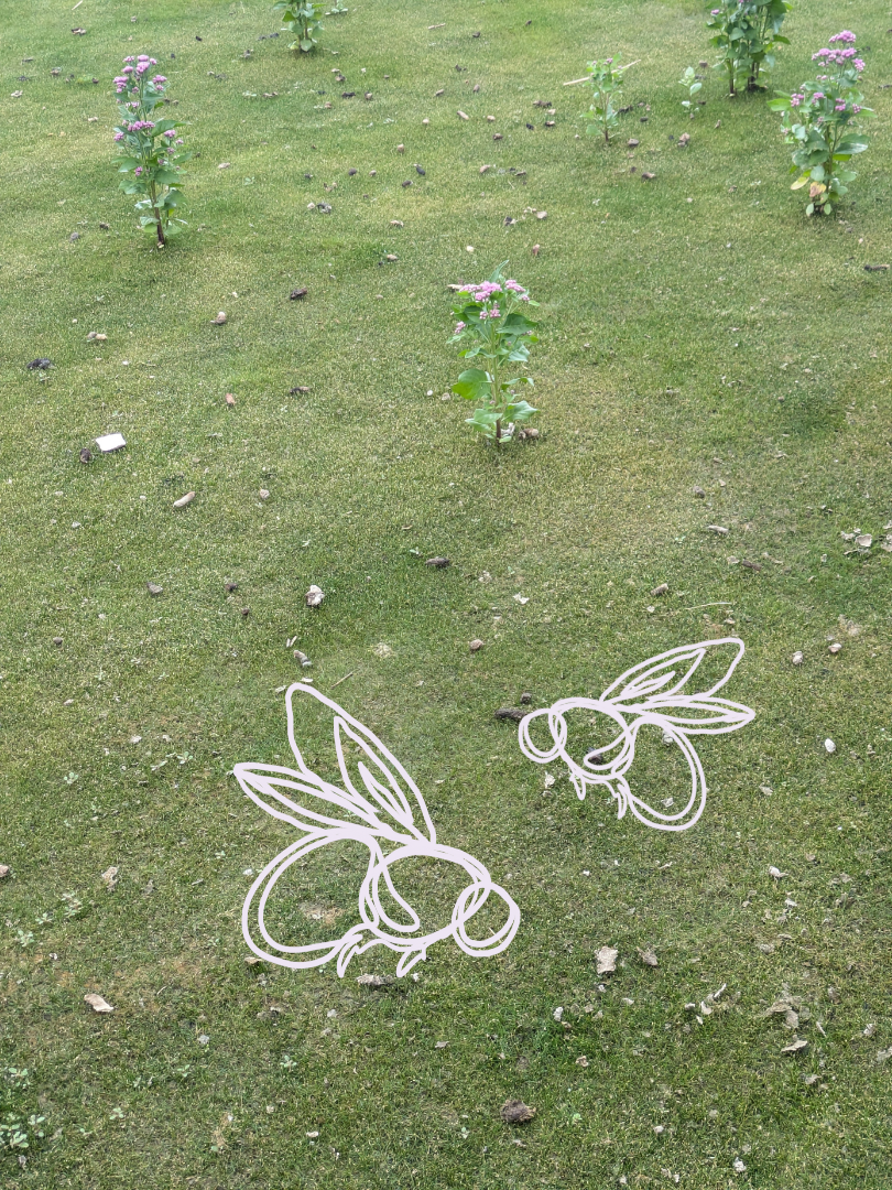 Photo of marsh in Jamaica Bay with overlay of bee drawing from Center CIRCL logo