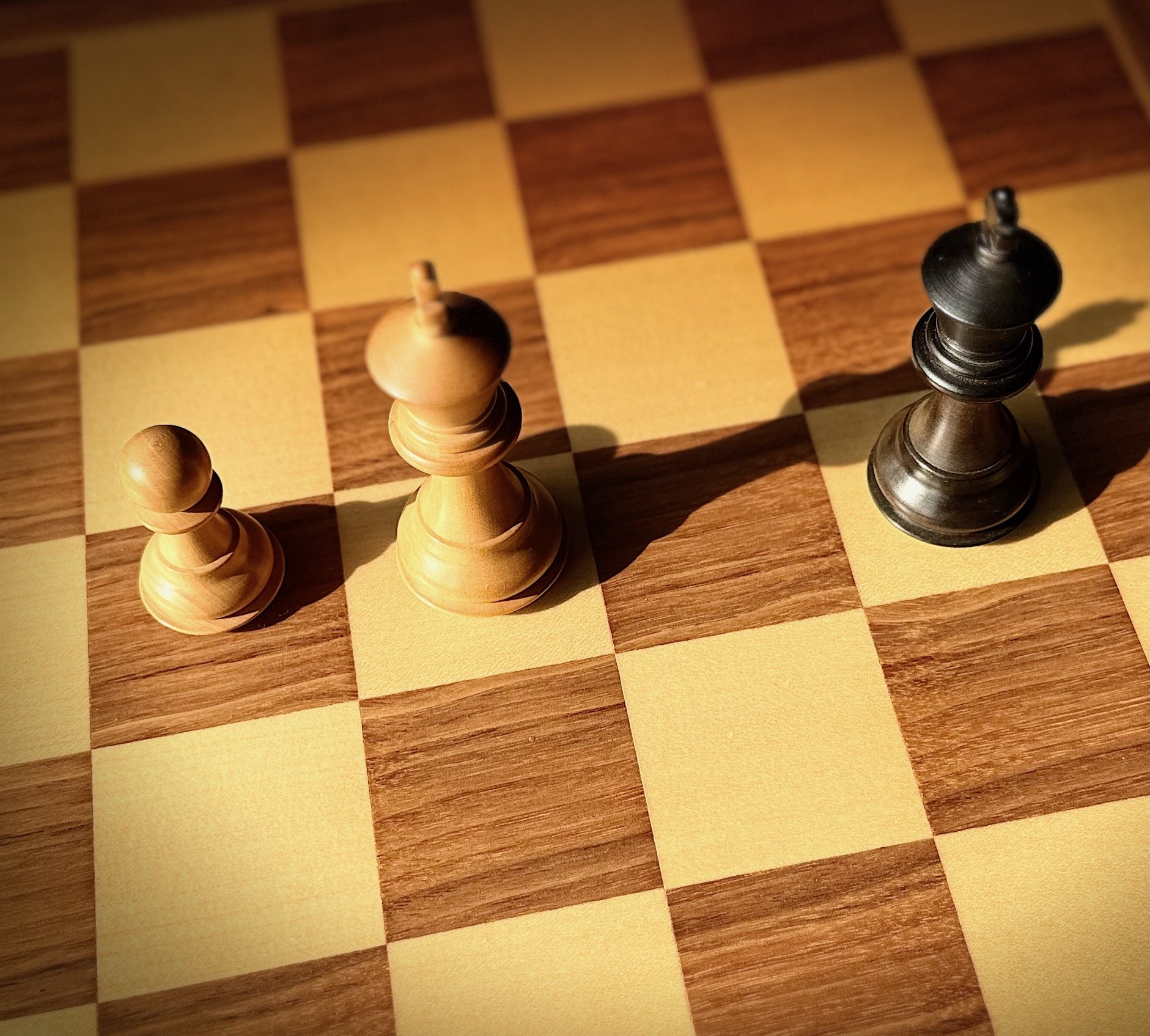 Tuition on Pawn Endgames