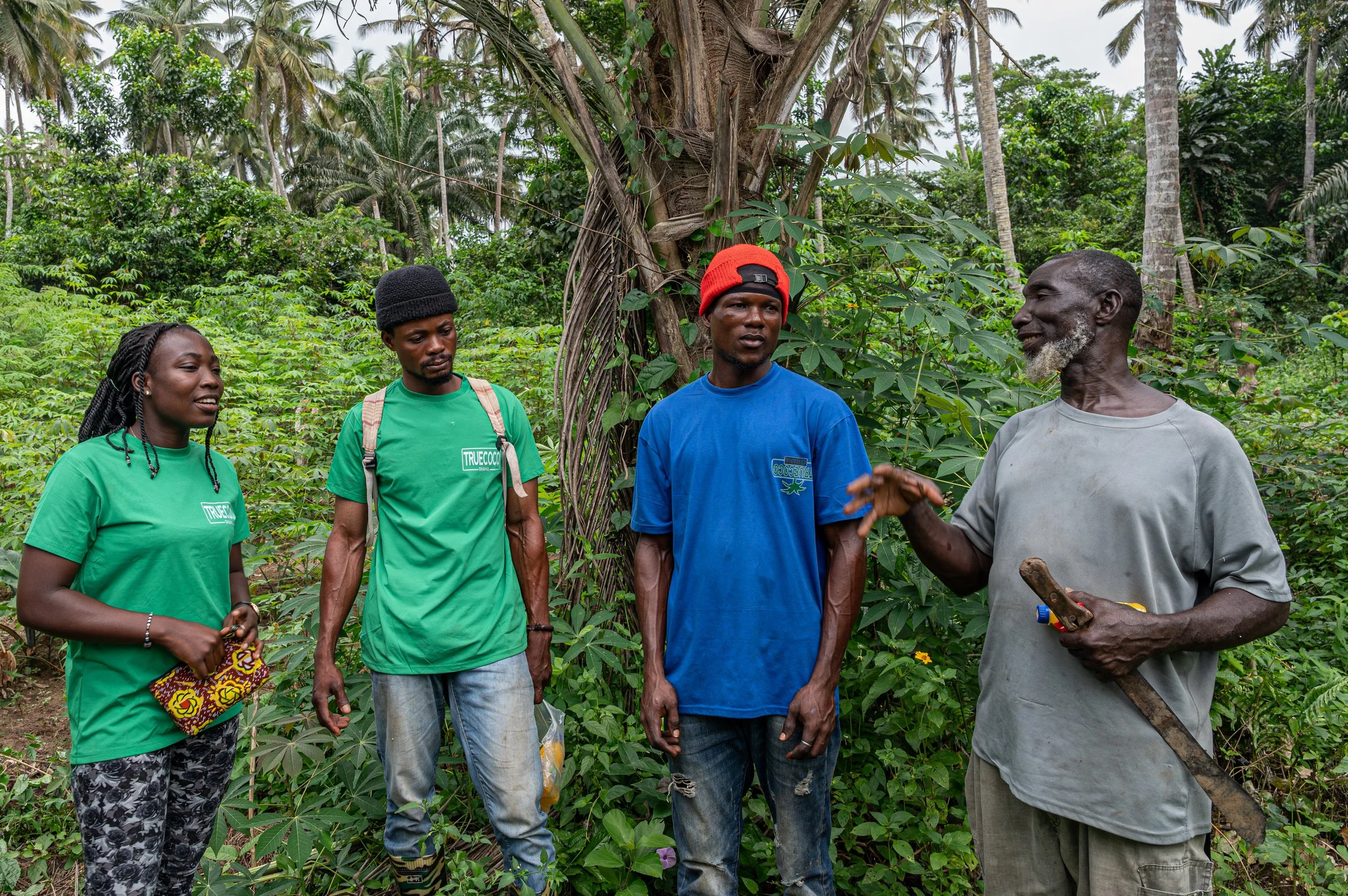 Truecoco are happy to announce a partnership with Climeworks for 90k CORCs to 2032