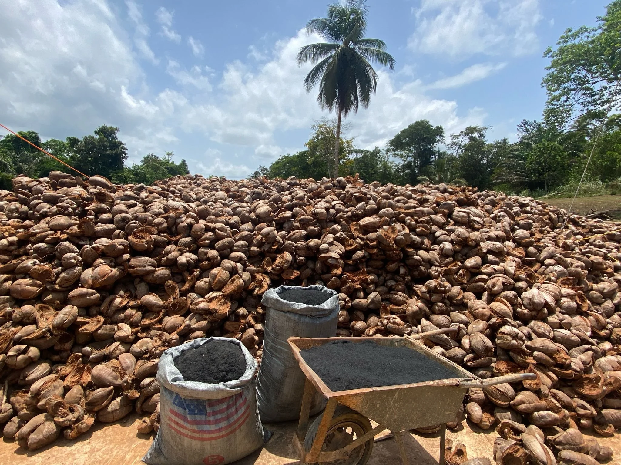 Truecoco,bio2 - Copy.jpg