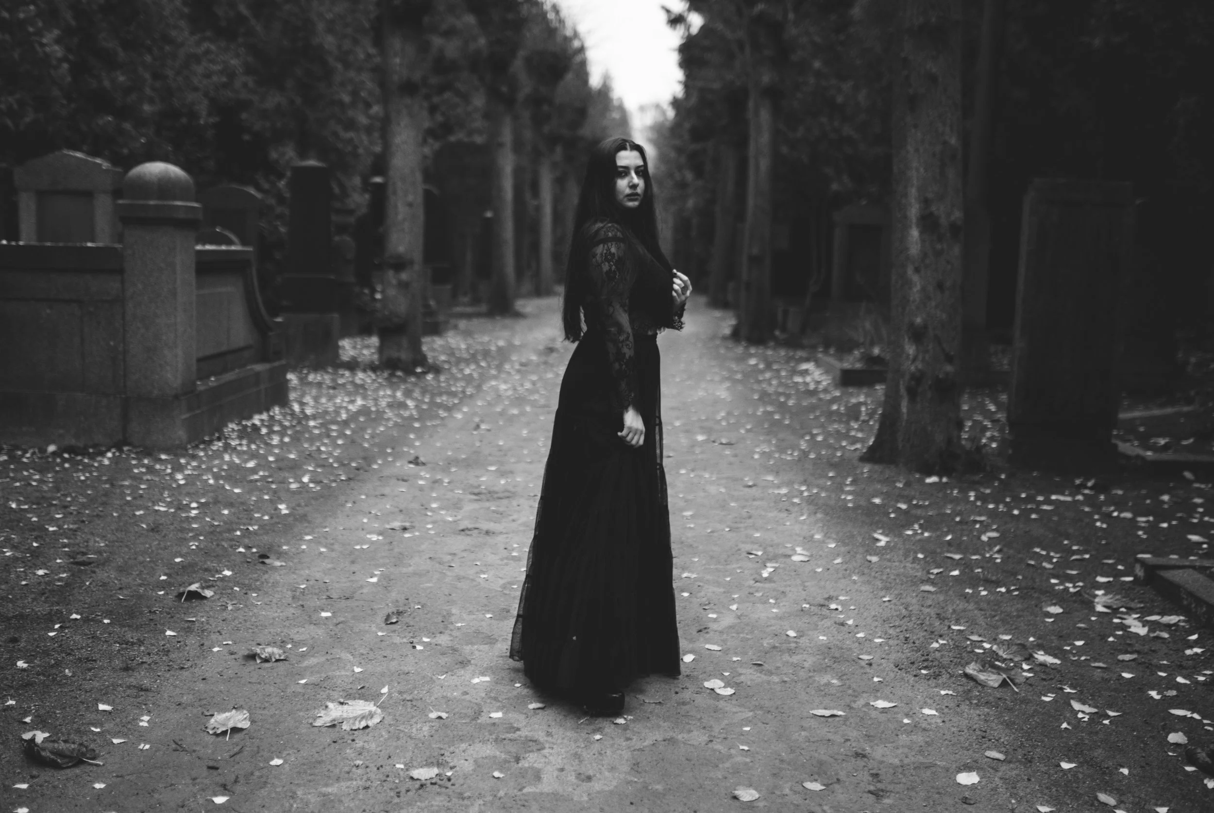 20181118-DSC06331 muzka sw 3 cut2.jpg