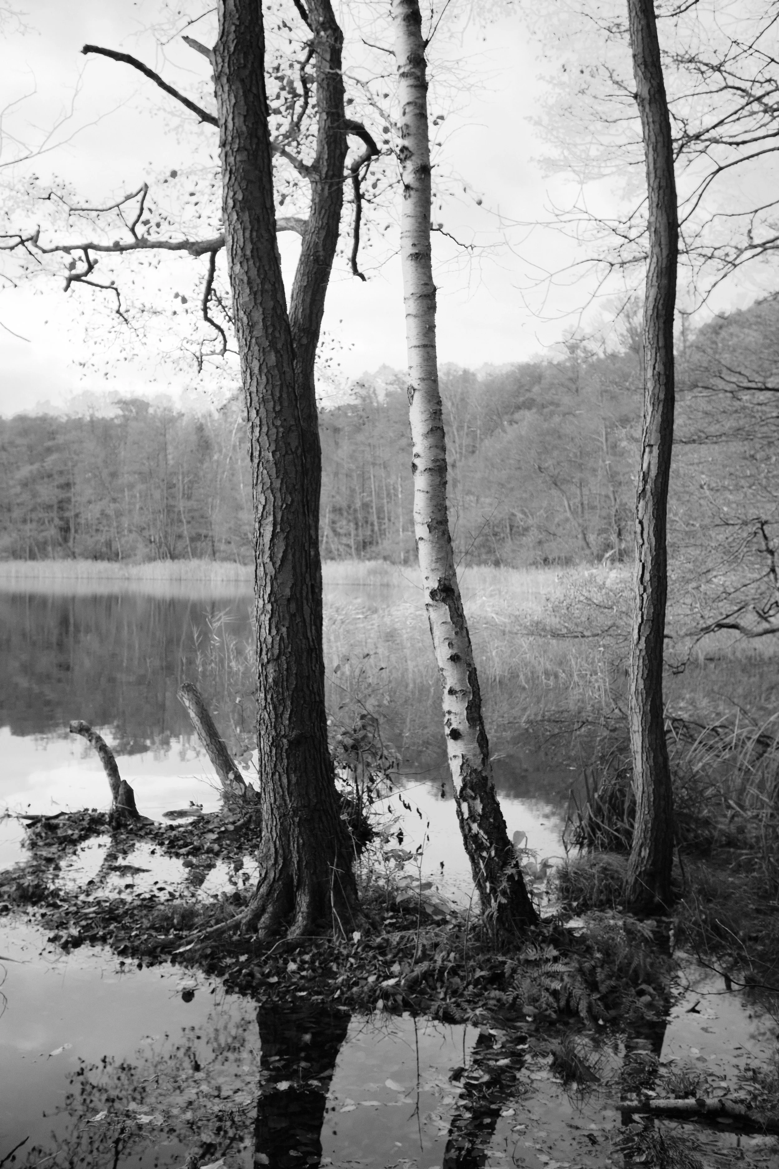 DSCF0284 1.jpg