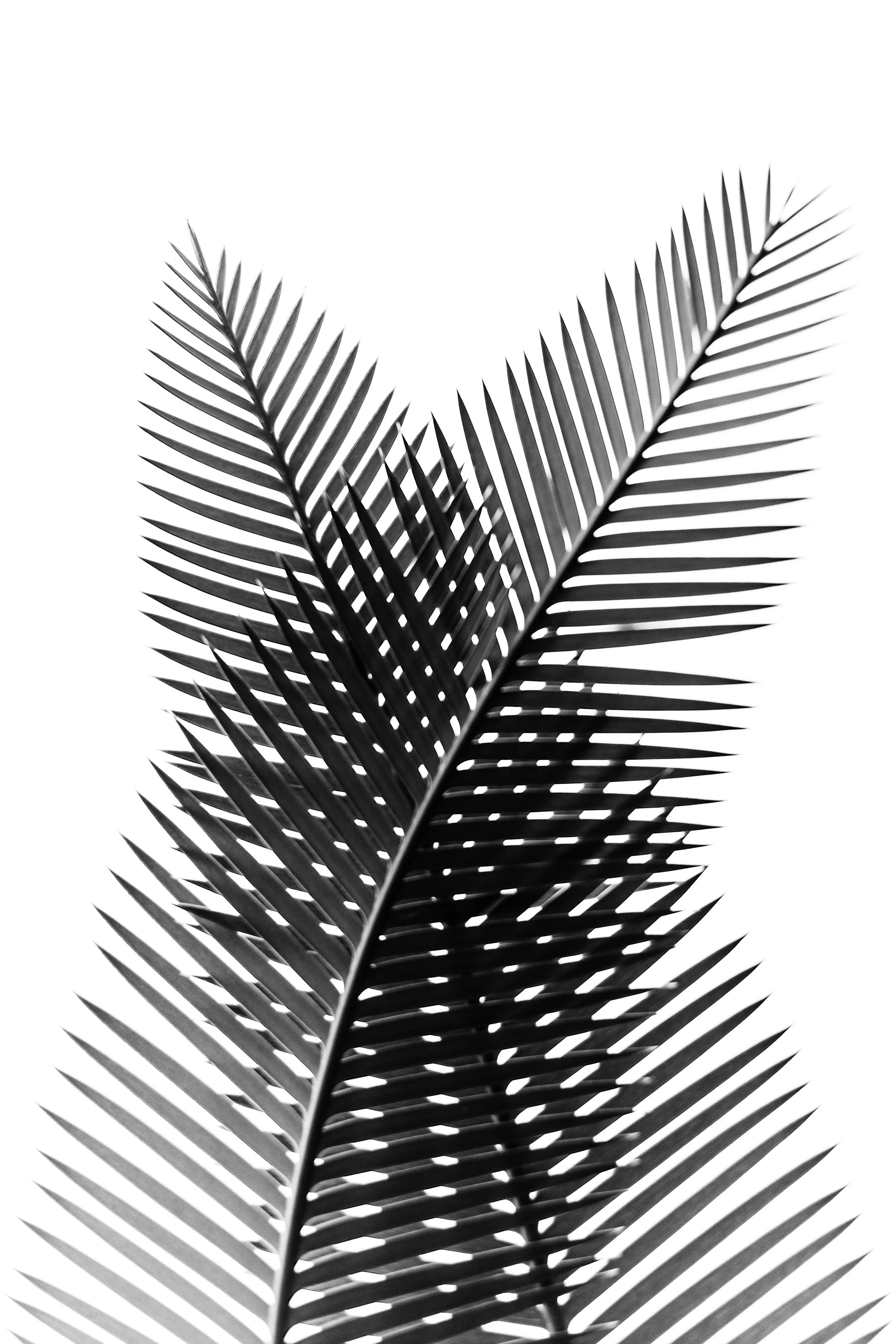 DSC02447-1 bearb2 vers2.jpg