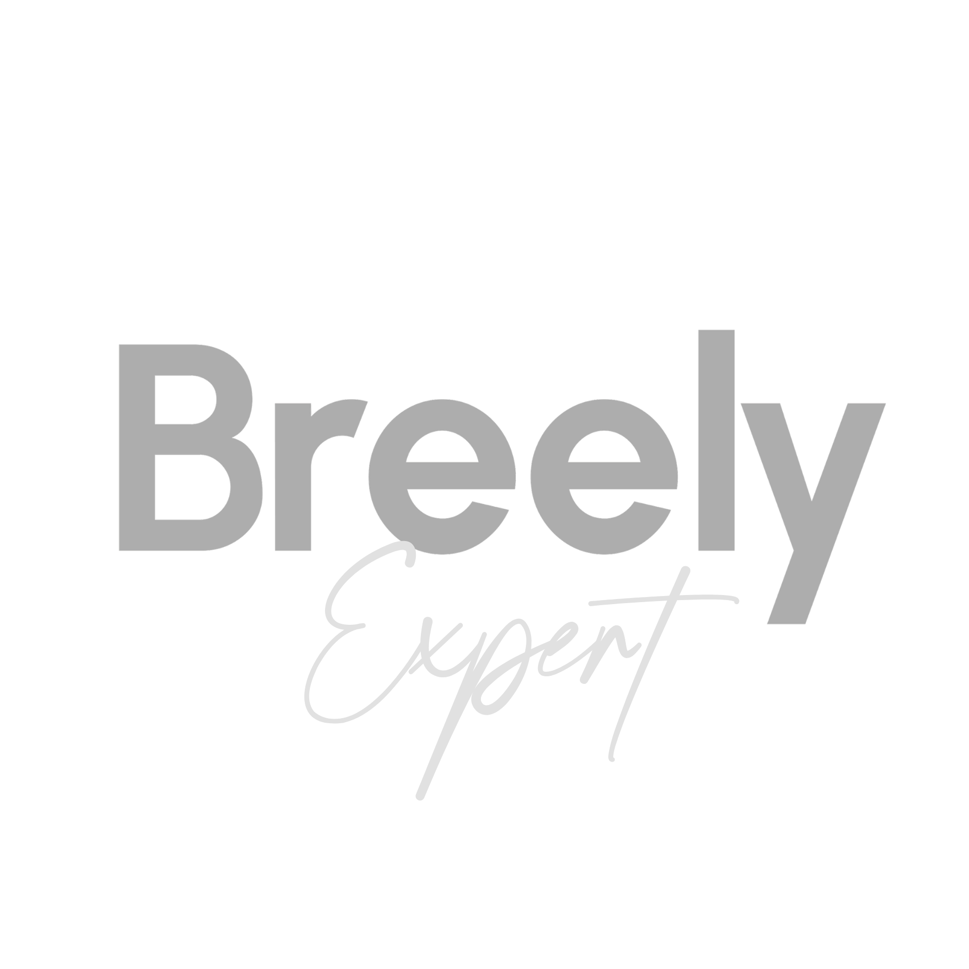 Decorative graphic with a black background featuring the words 'Breely', Expert' in stylish script and block fonts.
