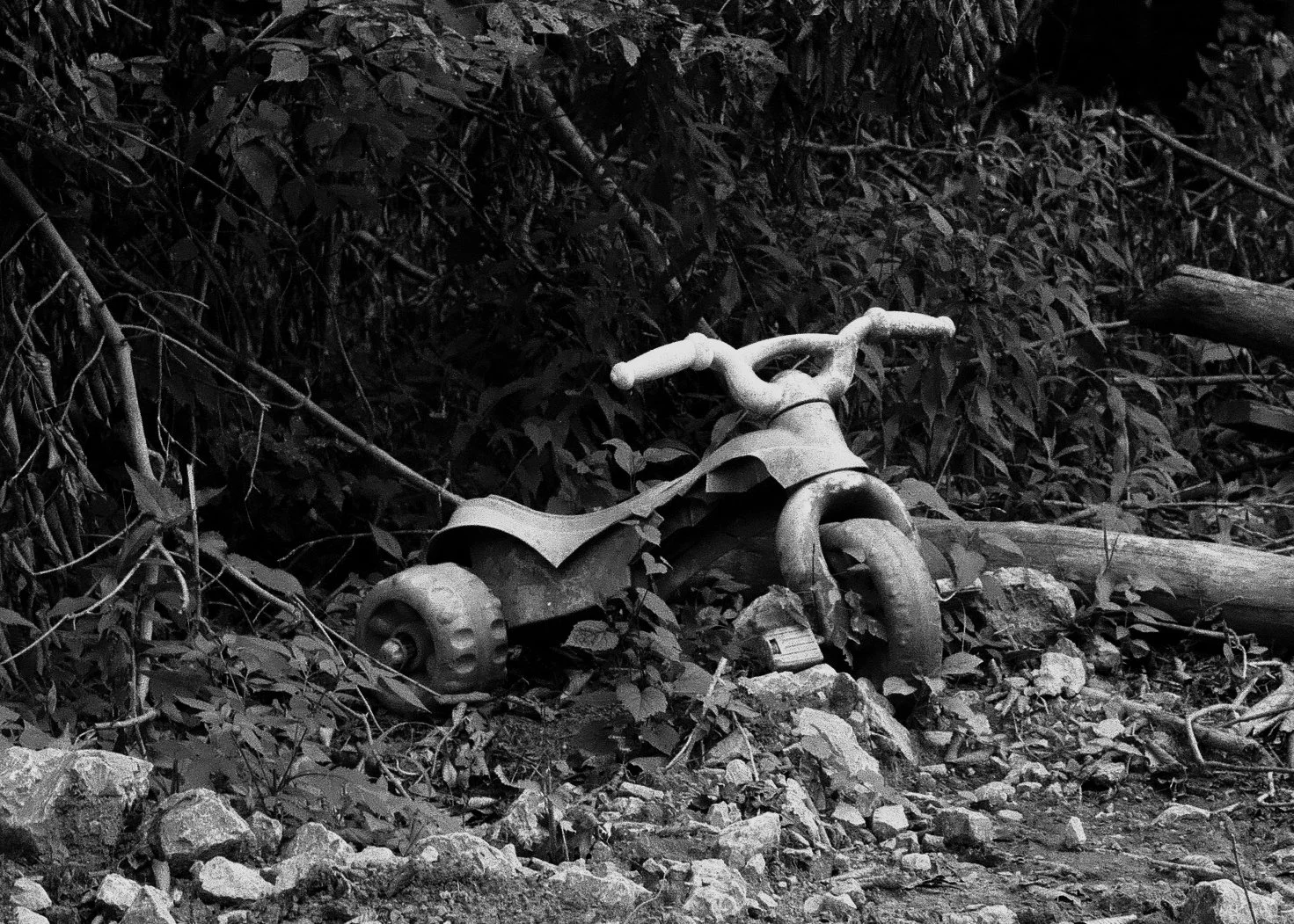 film-7.jpg