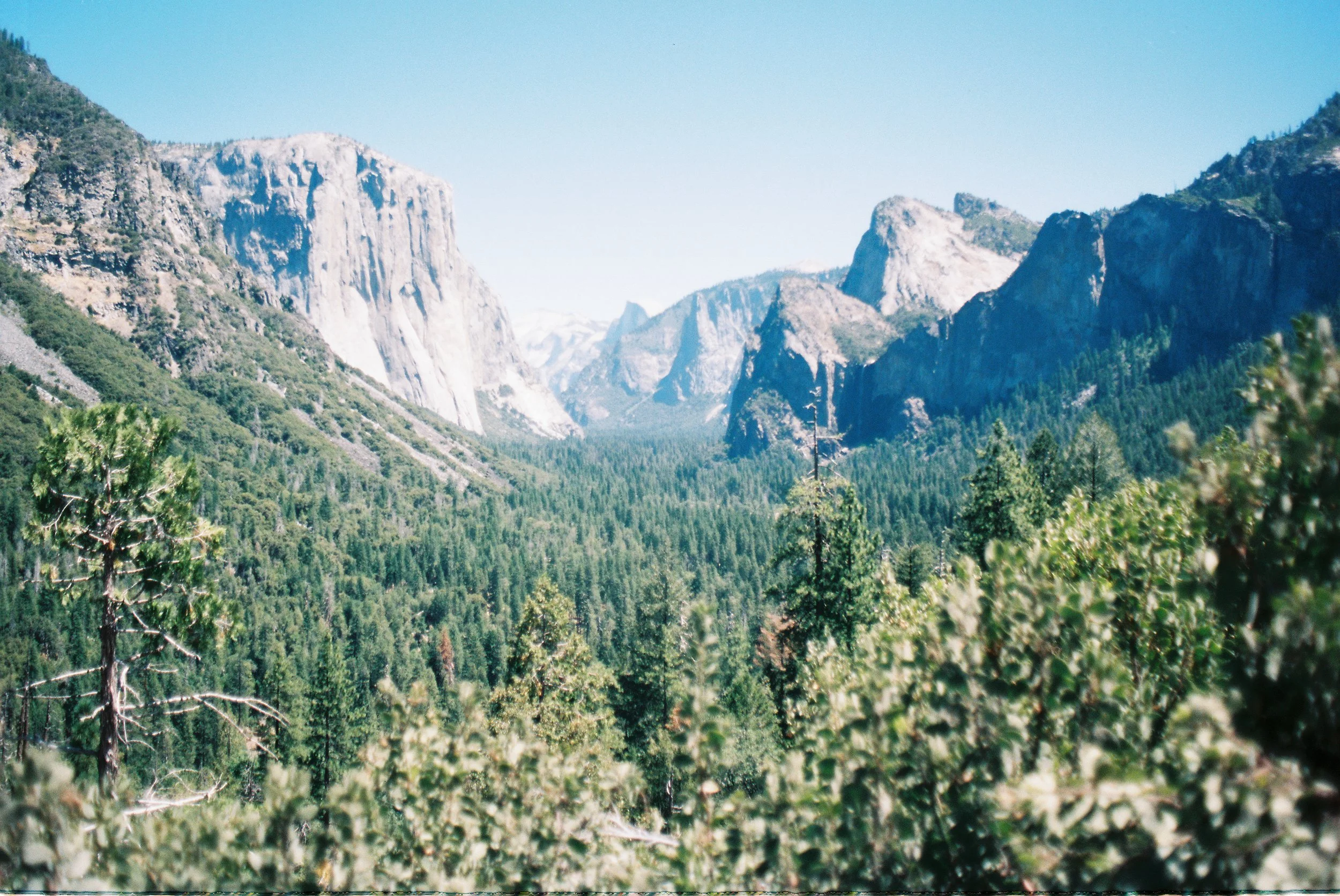 WILLIS009017-R1-020.jpg