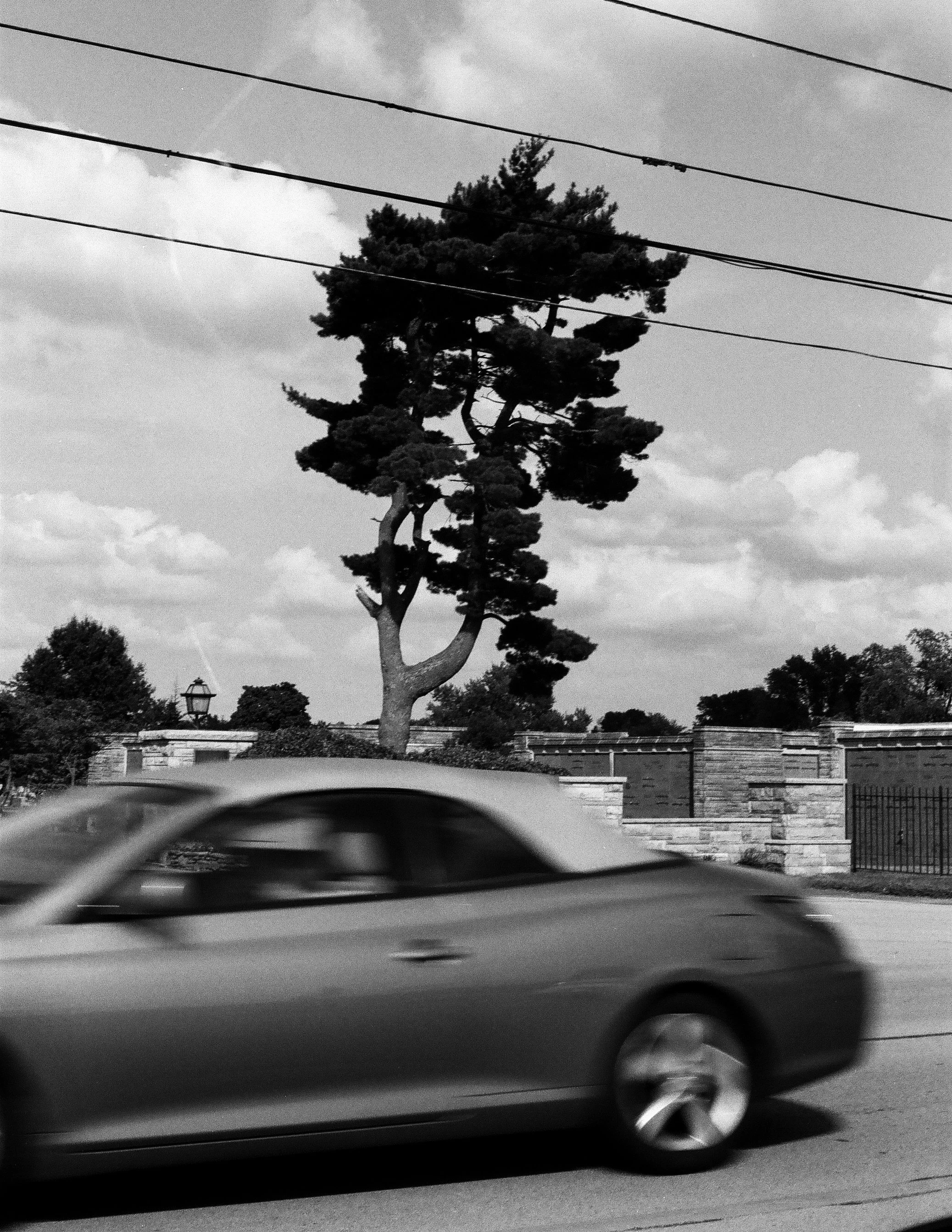 film-8.jpg