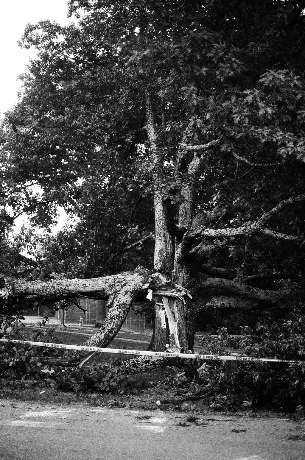 film-3.jpg