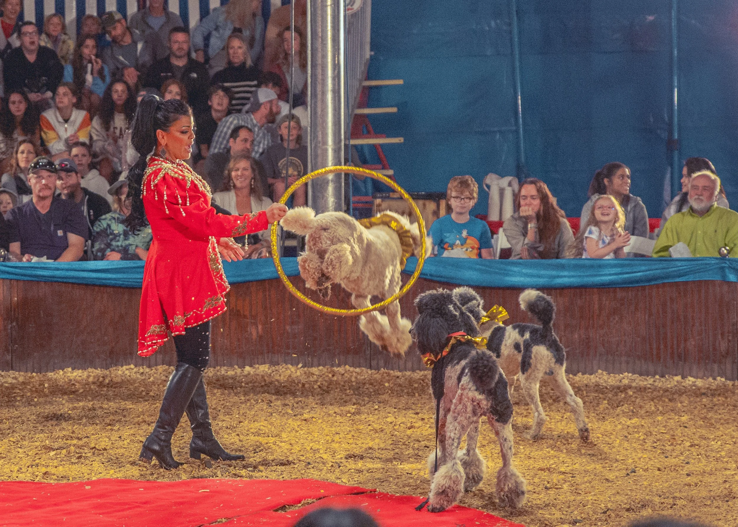 circus-3.jpg