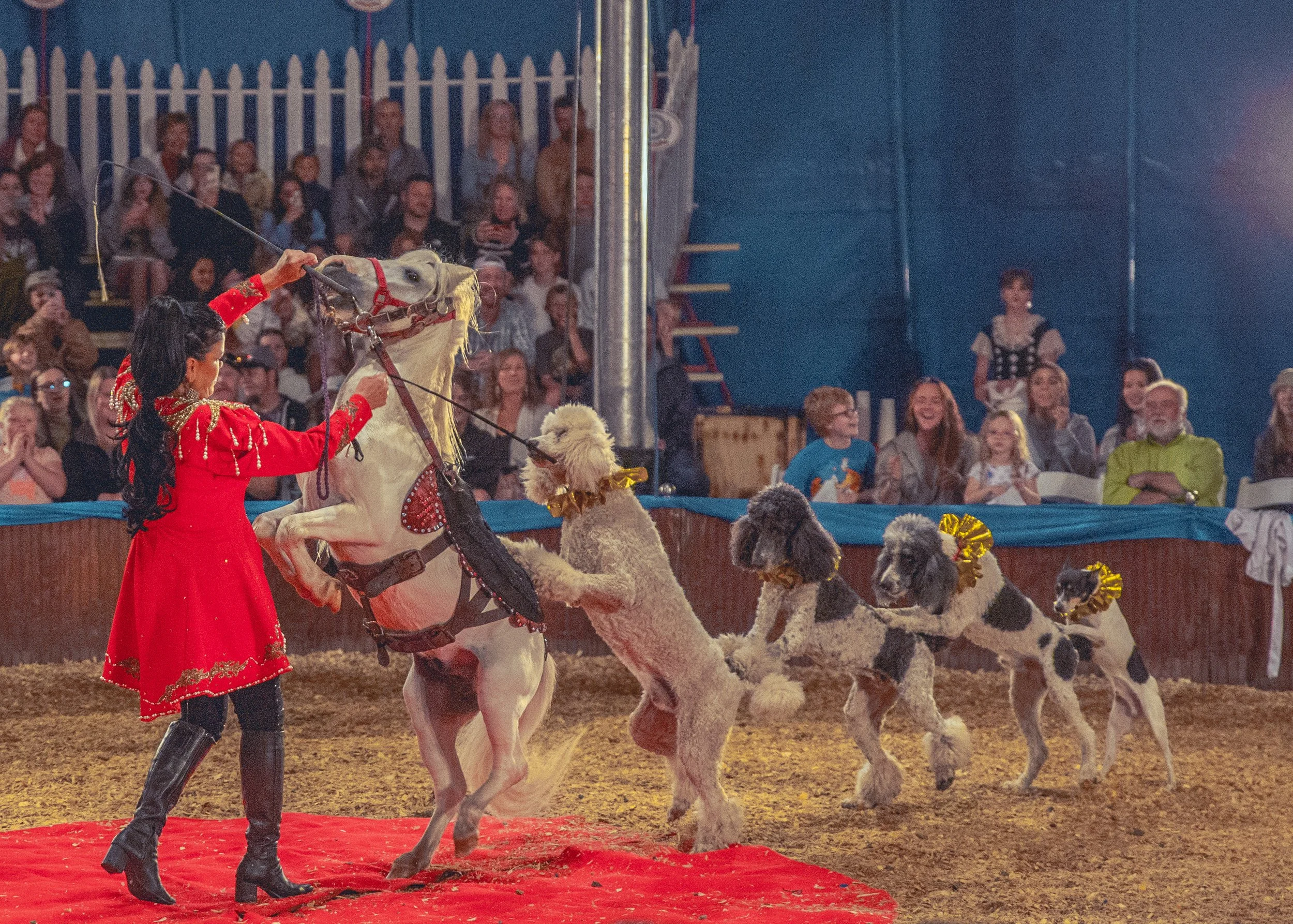 circus-4.jpg