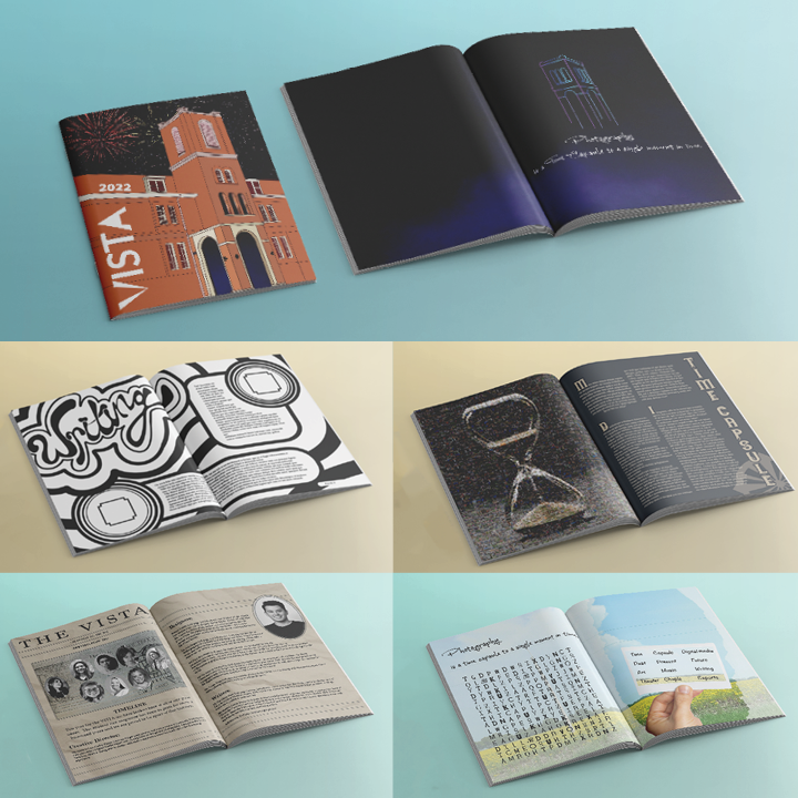Portfolio_VISTA_image.png