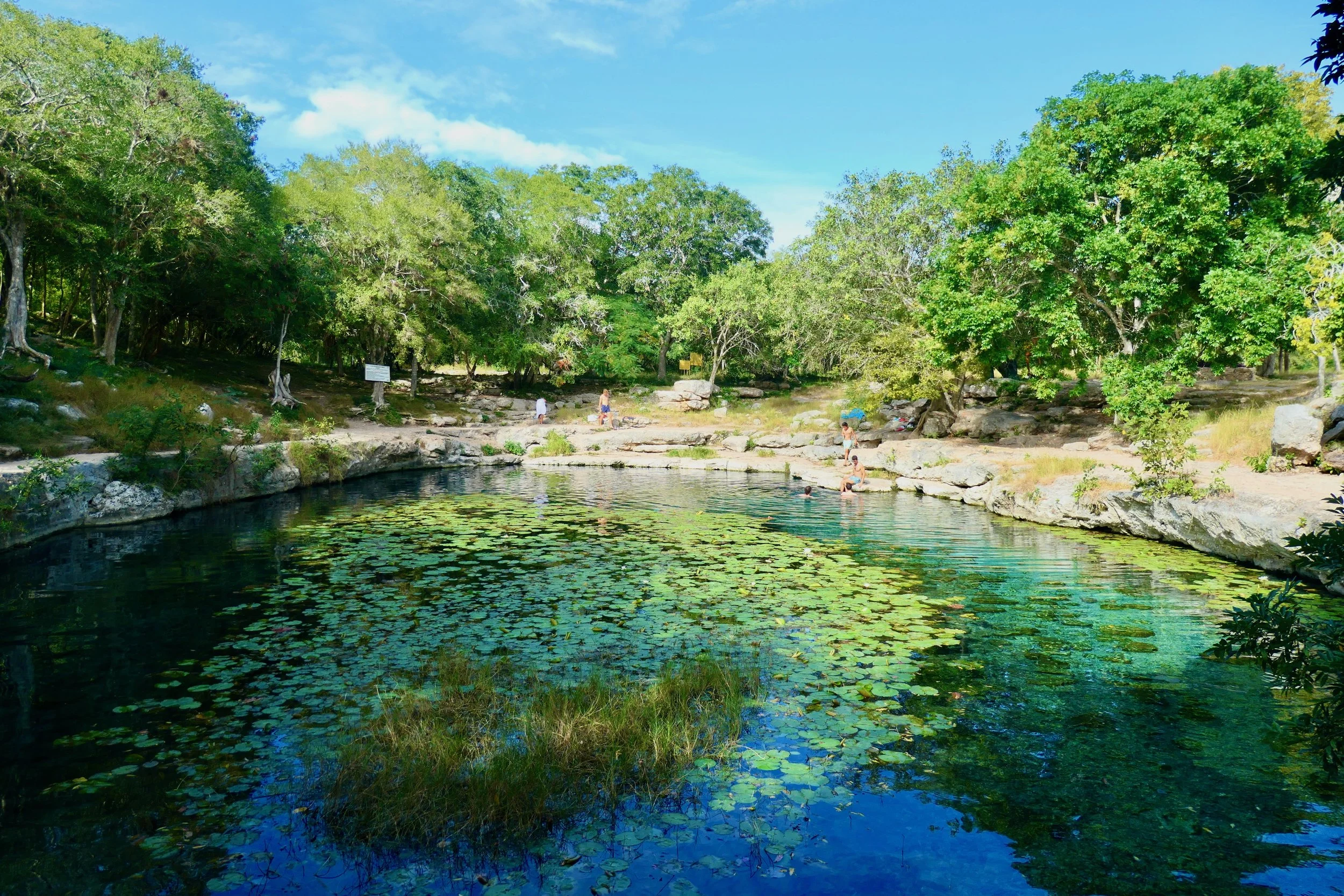 Image of cenote in Mérida.