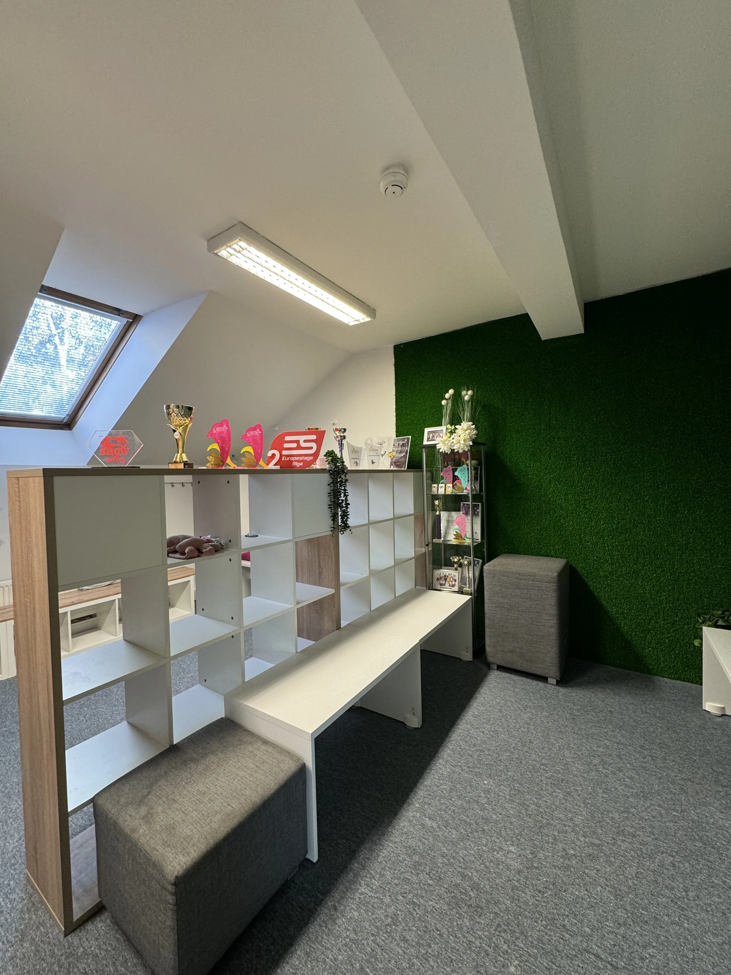 An indoor room with a white ceiling and wall, green textured wall, and gray carpet. There is a skylight window, a white shelving unit with trophies and decorative items, a small gray ottoman, and a black shelf with flowers and photos.